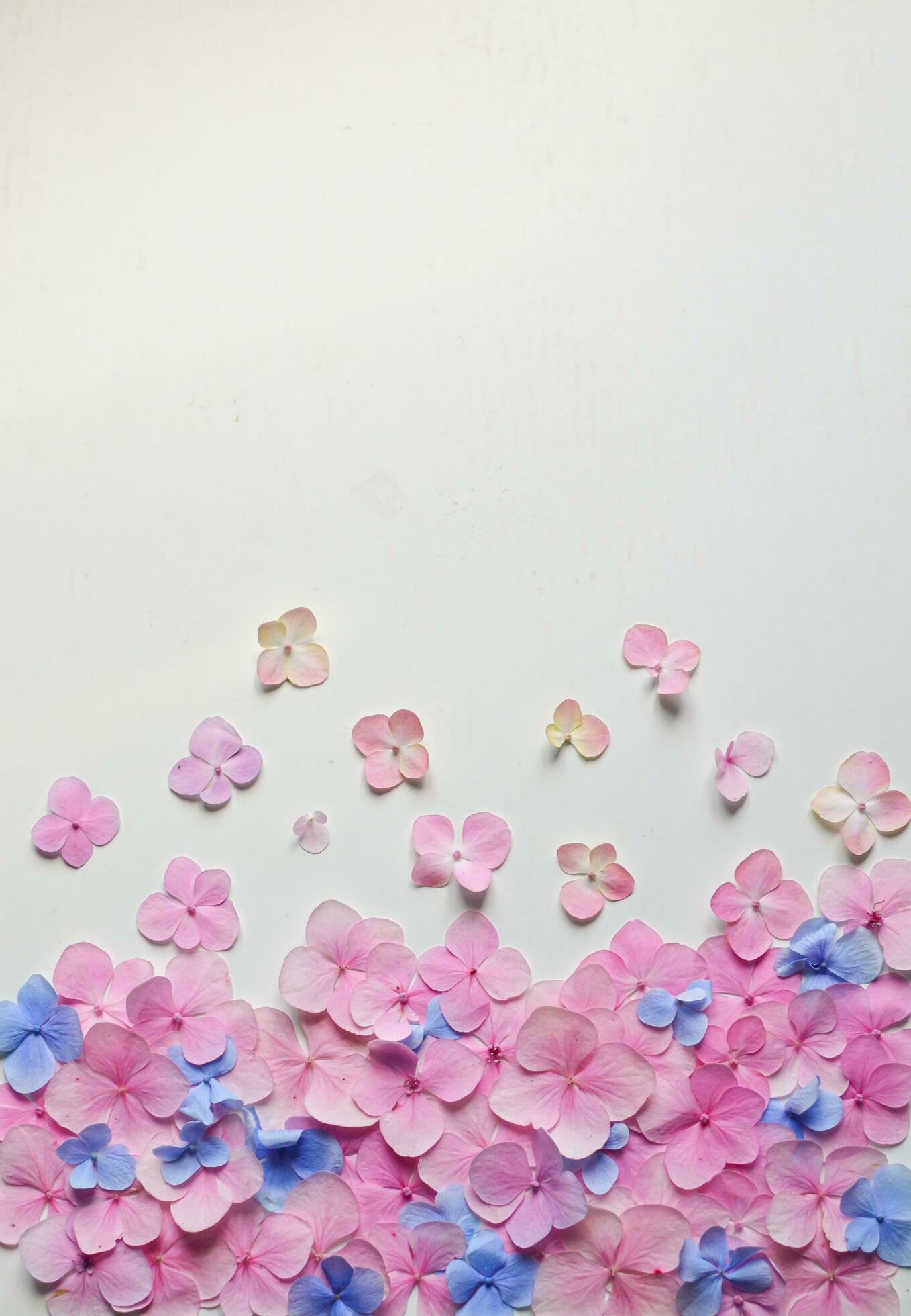 pastel pink and blue flowers backdrop for background Stock Free