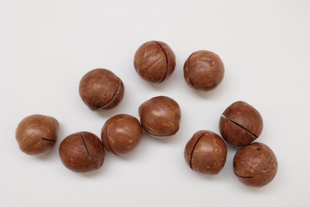 Macadamia nuts seeds background Stock Free