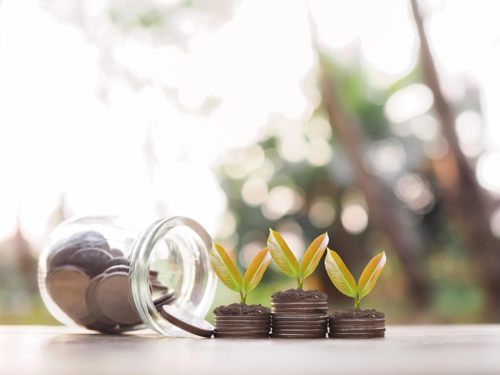 Plants growing up on stack of coins. The concept of saving money, Financial, Investment and Business growing. Stock Free