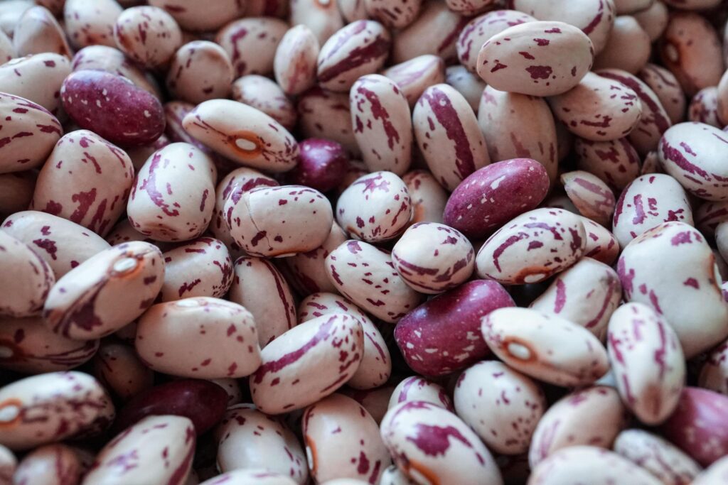 uncooked red beans, mediterranean food Stock Free