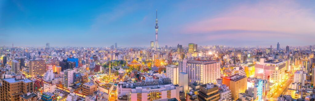 View of downtown Tokyo skyline at sunset Stock Free