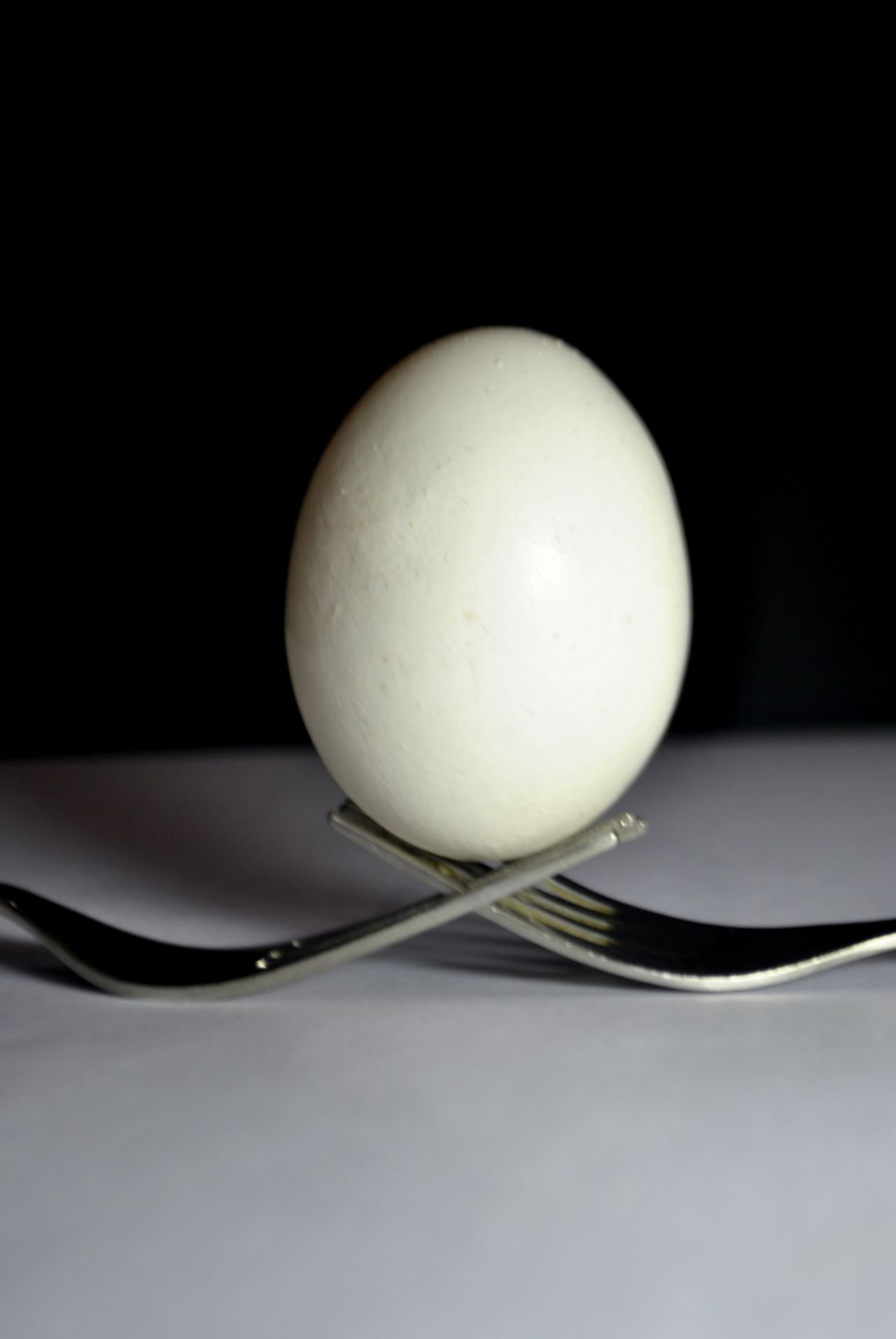 Egg Fork 3 Stock Free