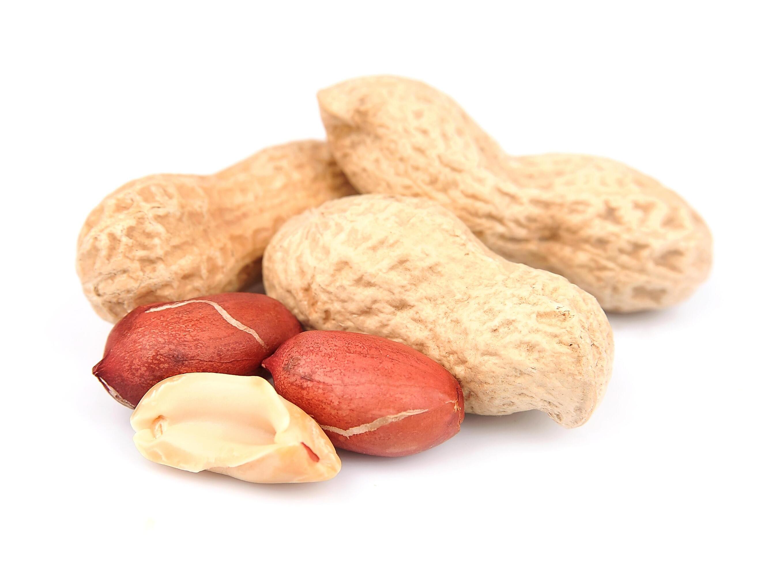 Peanuts on white backgrounds Stock Free