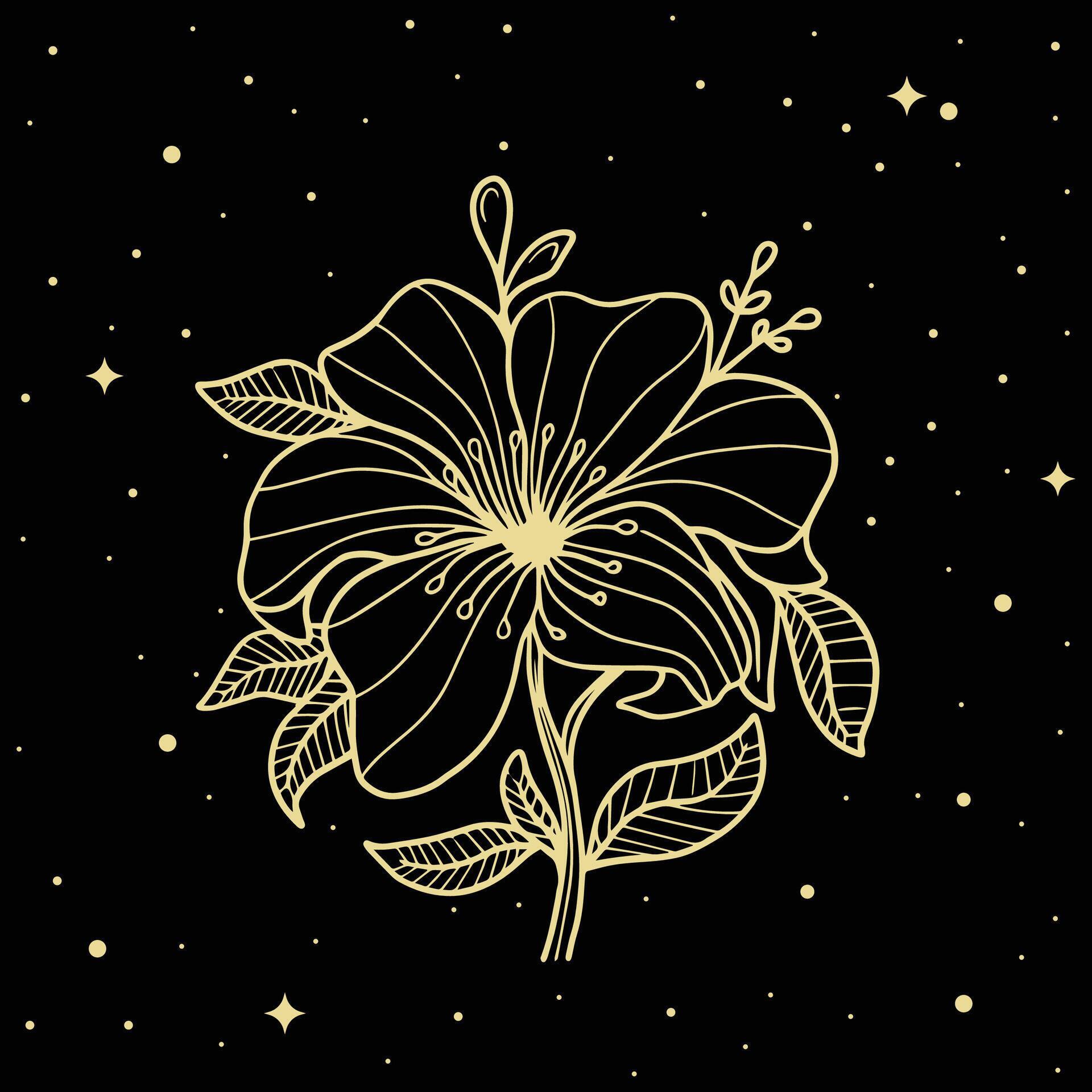 Gold flowers under a star filled night sky Stock Free