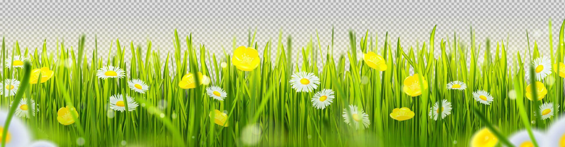 Realistic green grass border with flowers Stock Free