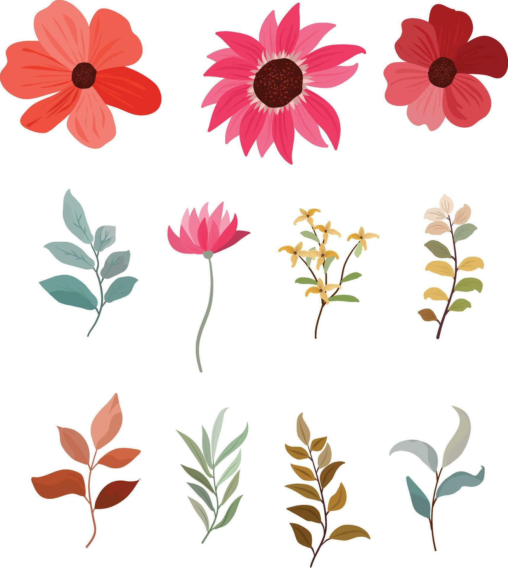 set of wild flower and leaf elements Stock Free