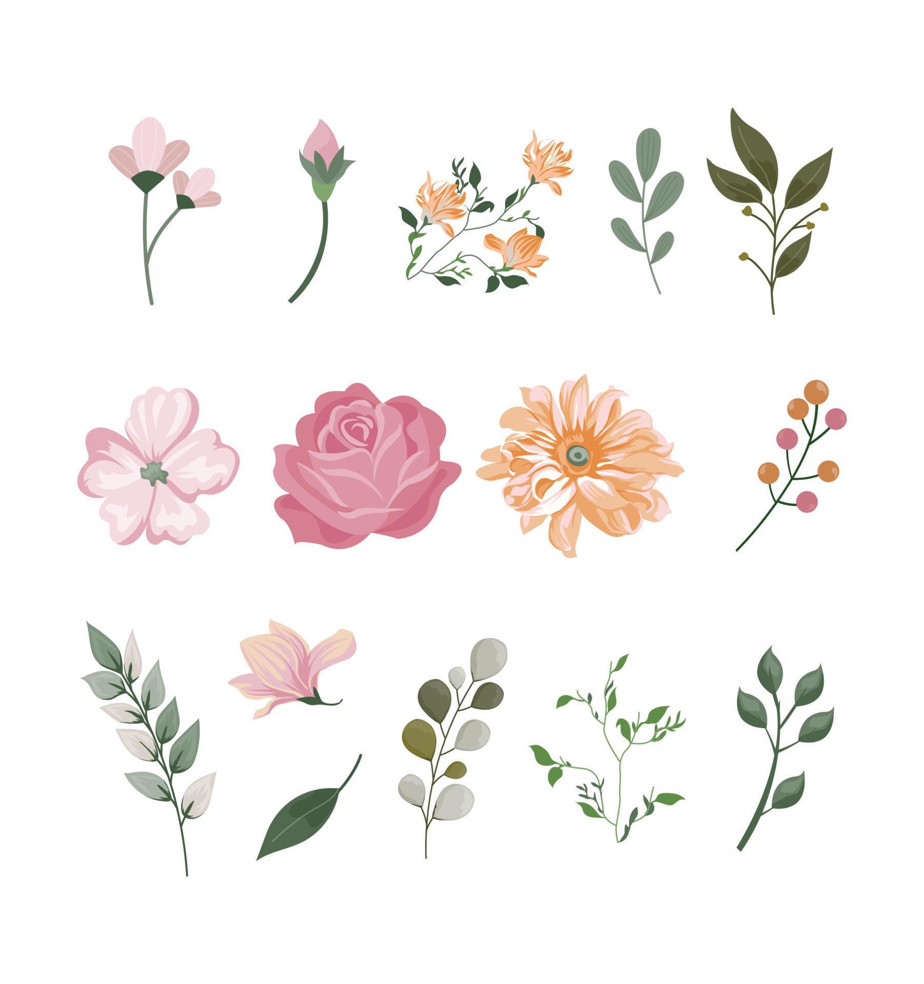 Realistic 2d flowers vector Stock Free