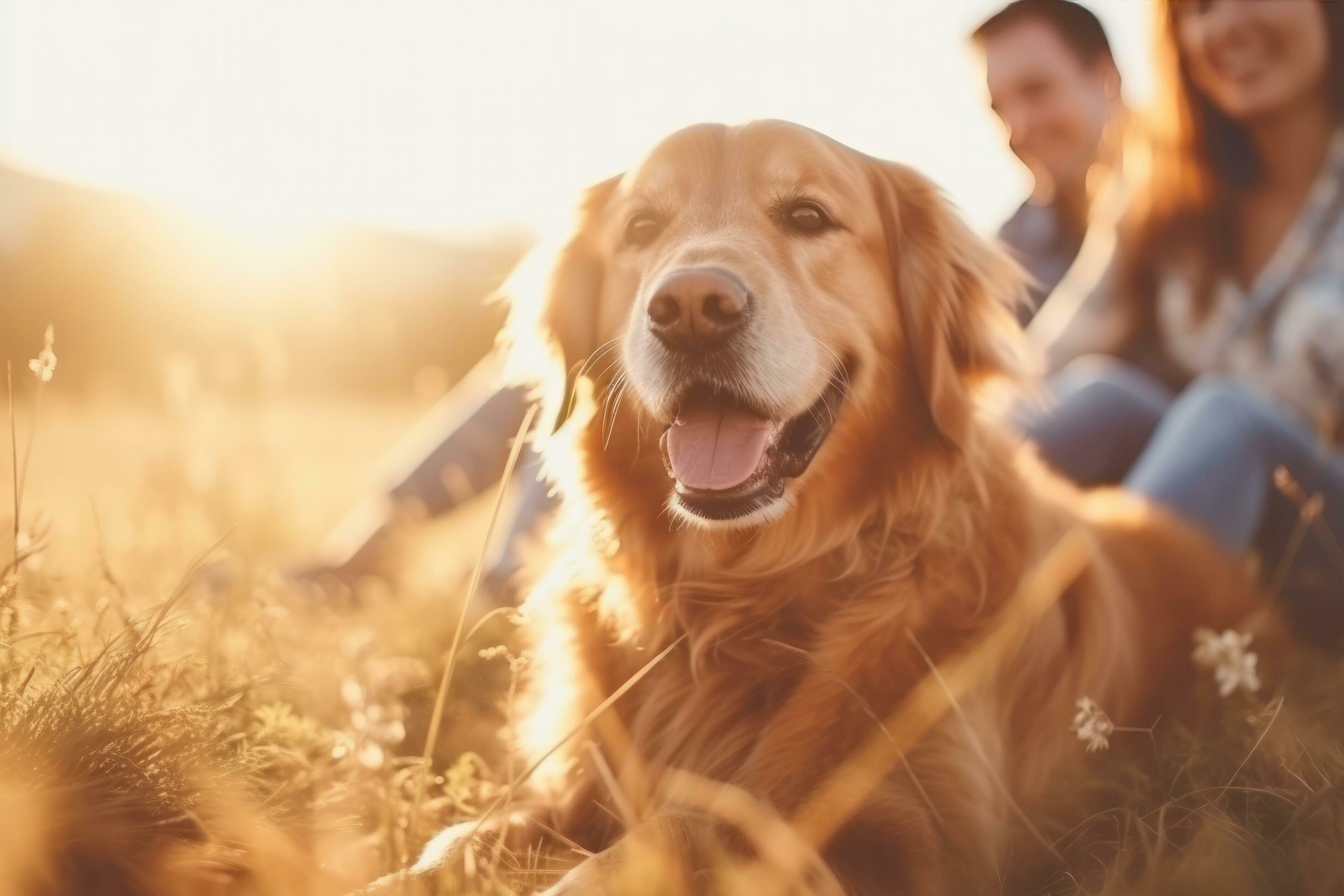 Happy family with dog Stock Free