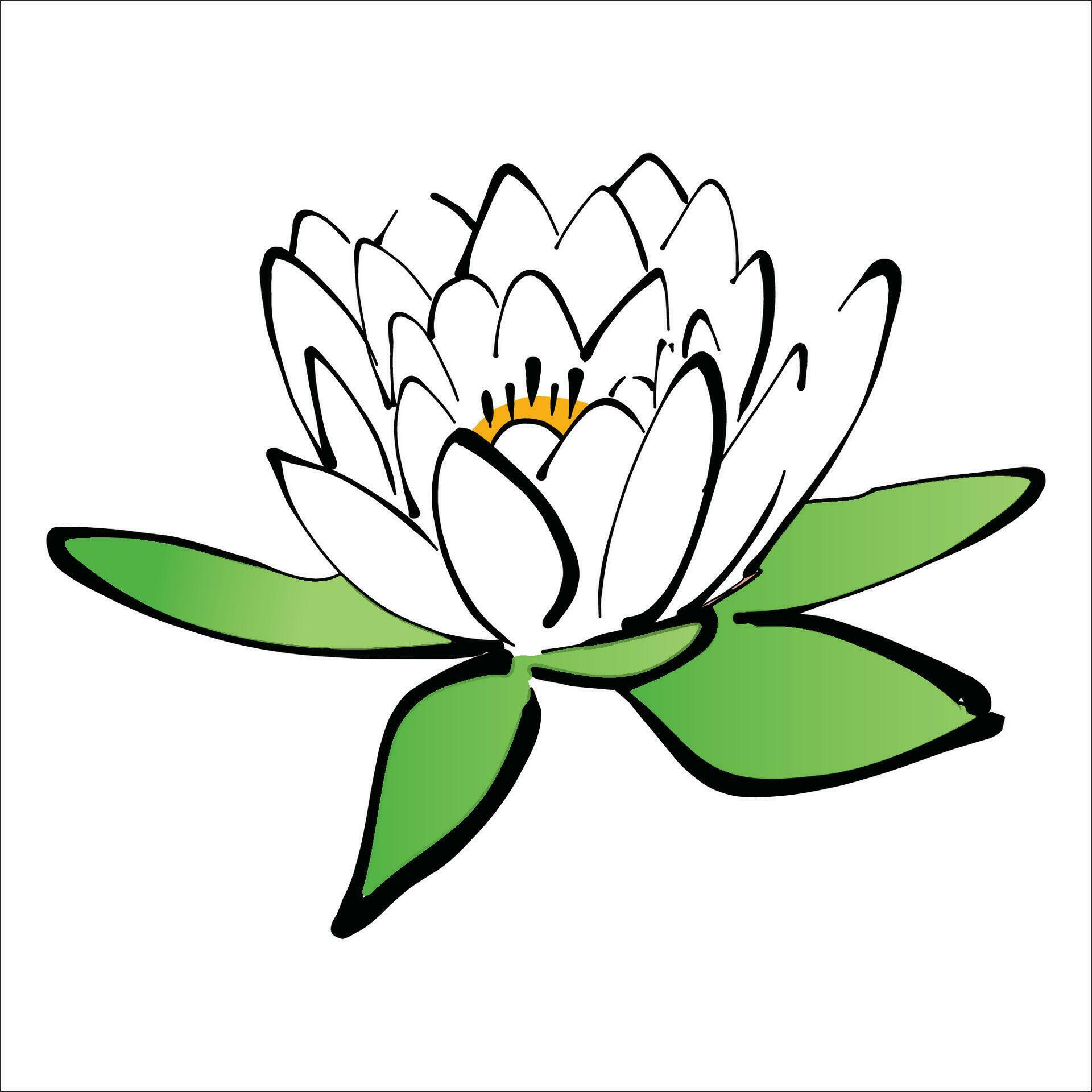 Stylish , fashionable and awesome Lotus Flower art and illustrator Stock Free