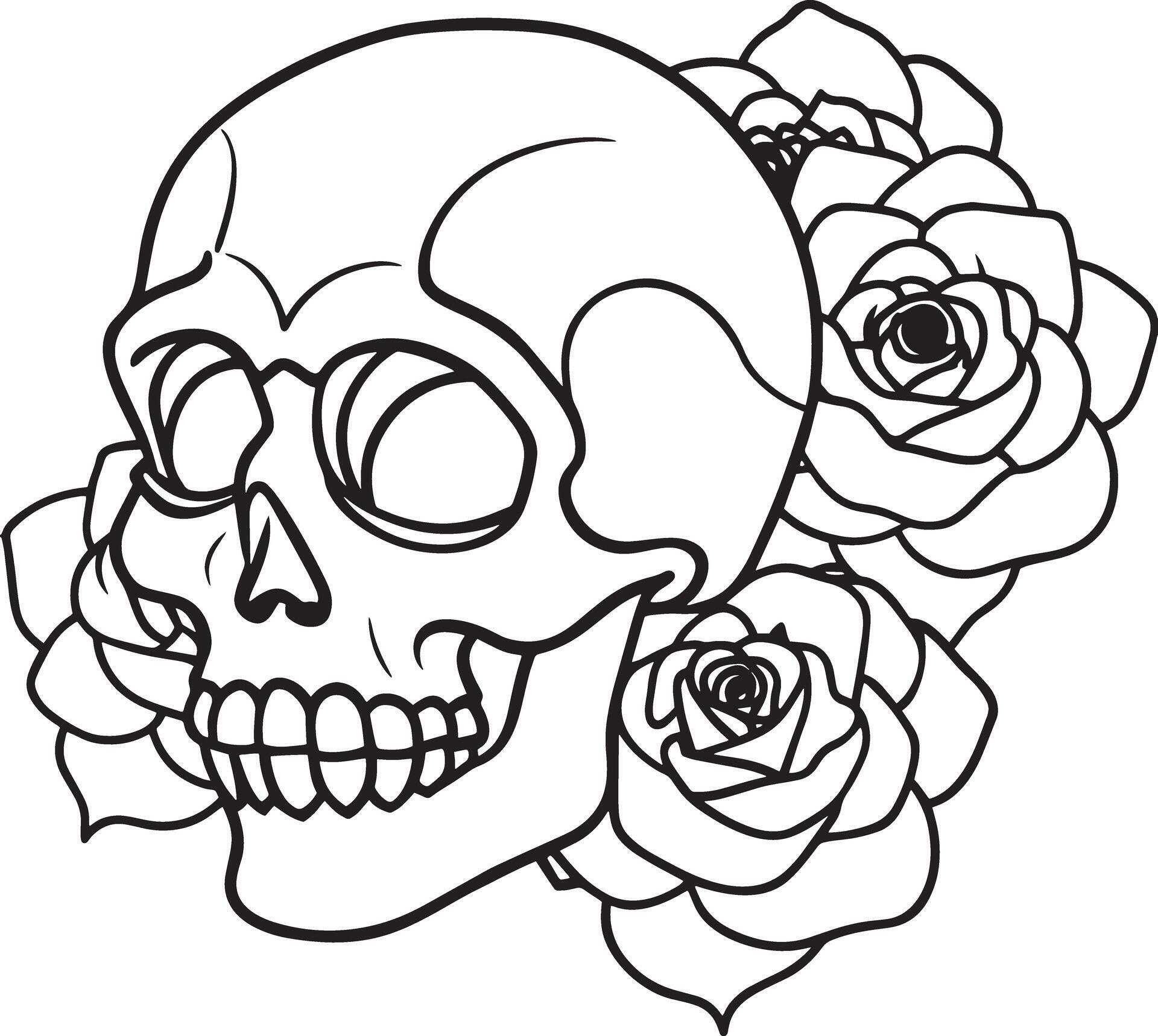 skull with rose flowers line art black and white illustration Stock Free