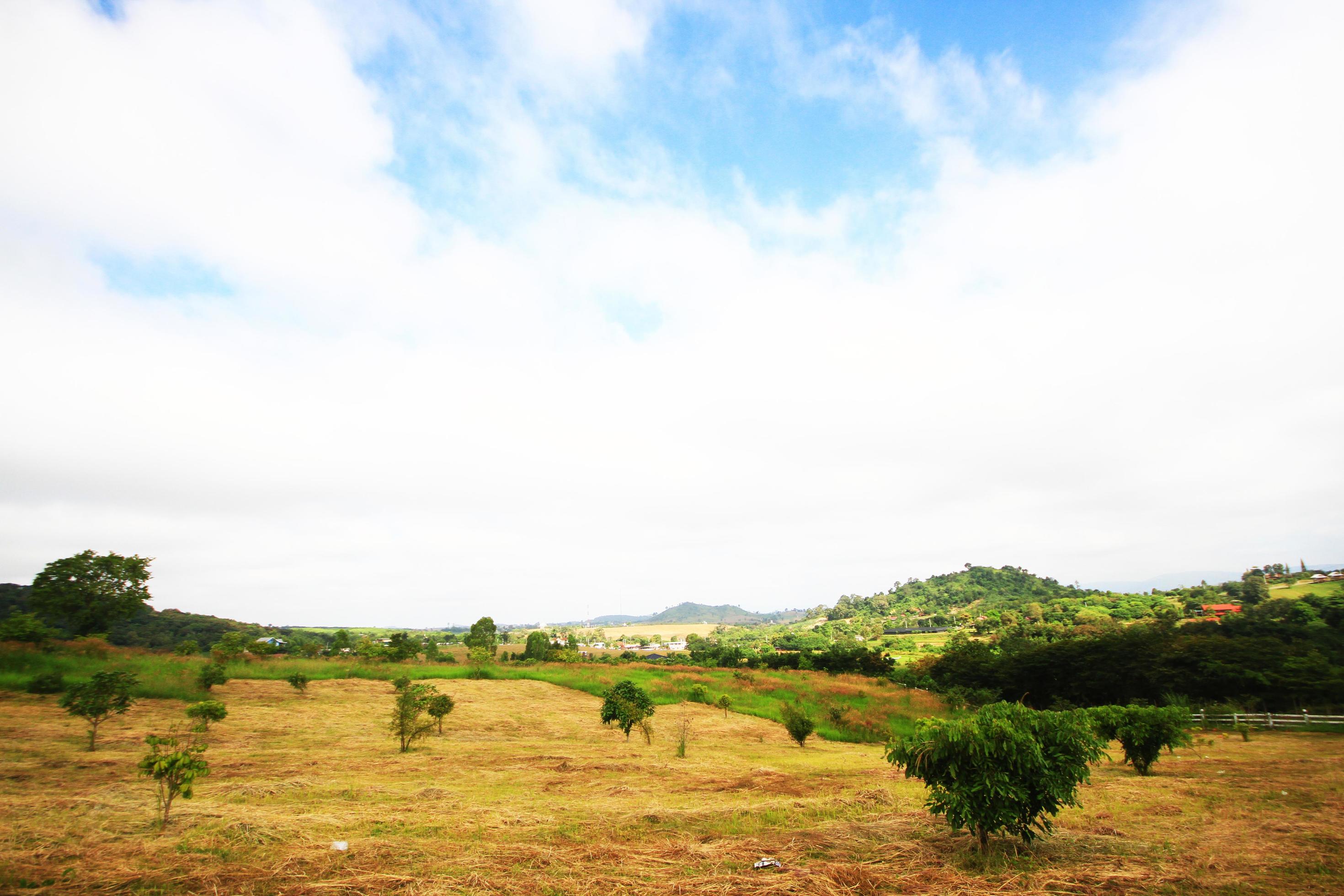 Landscape of Grassland and horticulture on mountain in Thailand Stock Free