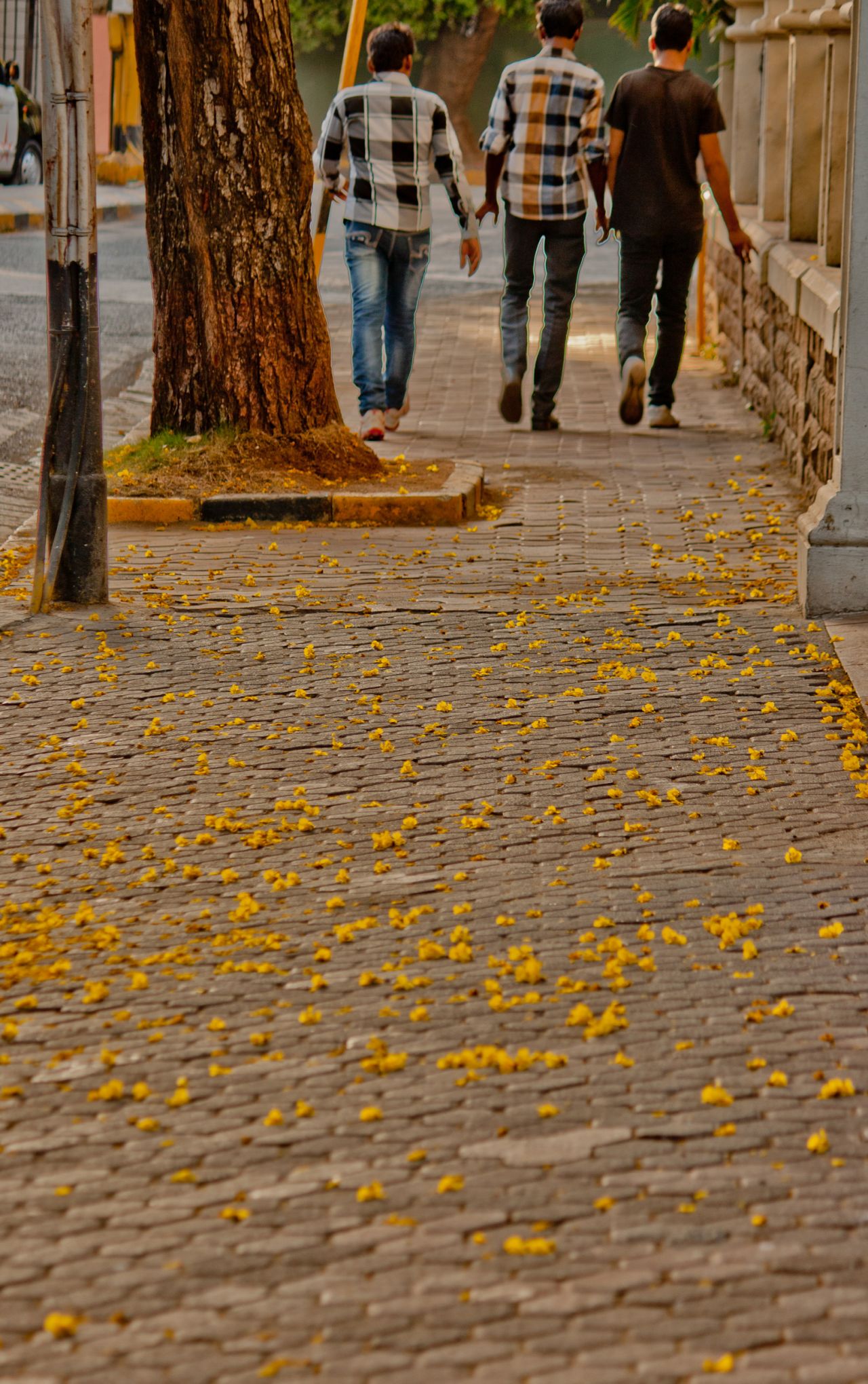 Pavement Flowers Friends Walking Stock Free