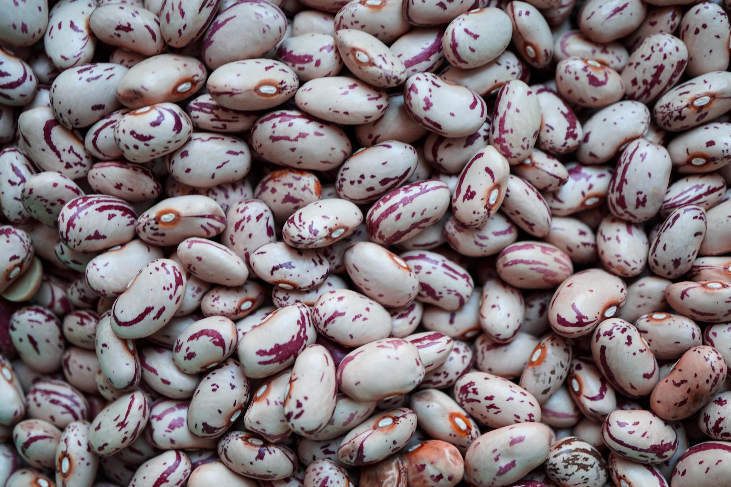 uncooked red beans, mediterranean food Stock Free