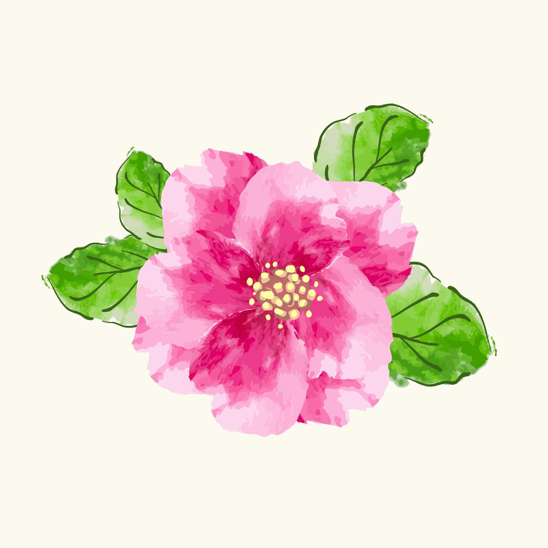 Illustration of flower watercolor. Vector design Stock Free