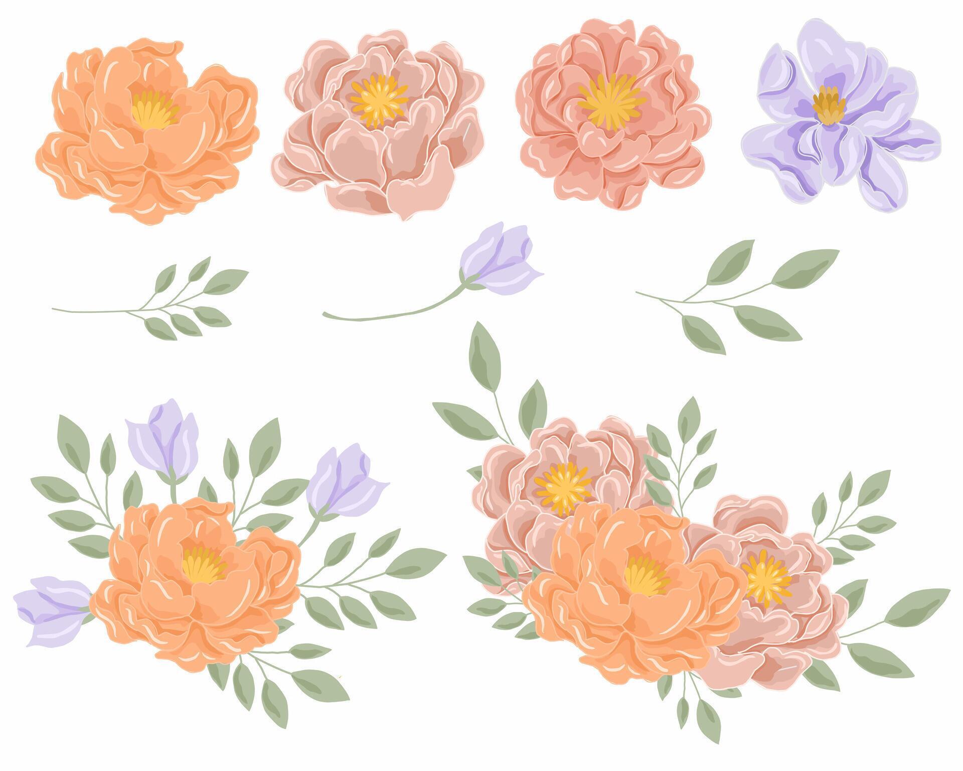 Pastel Orange and Purple Rose Flower Stock Free