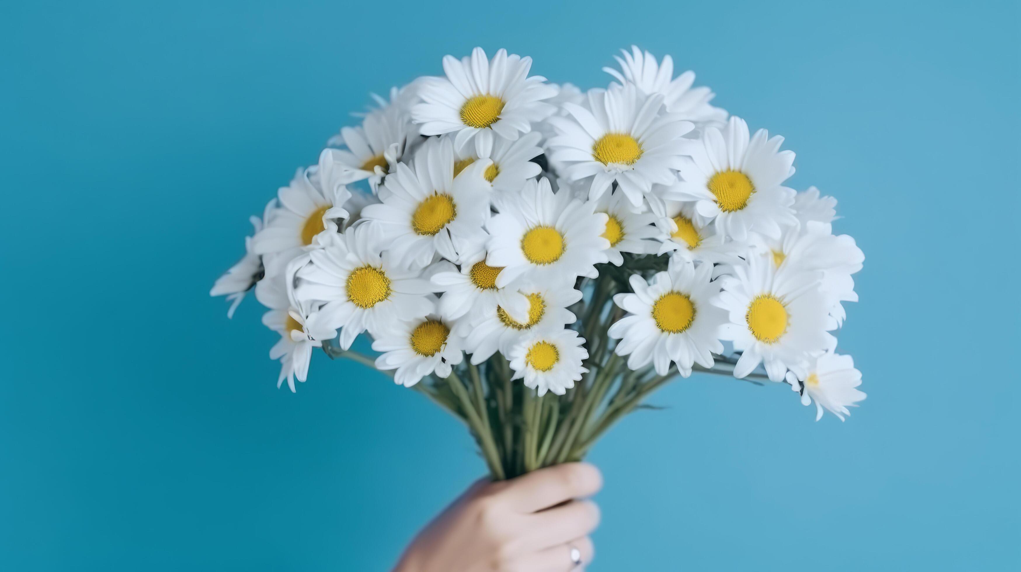 Hands with daisy flowers. Illustration Stock Free