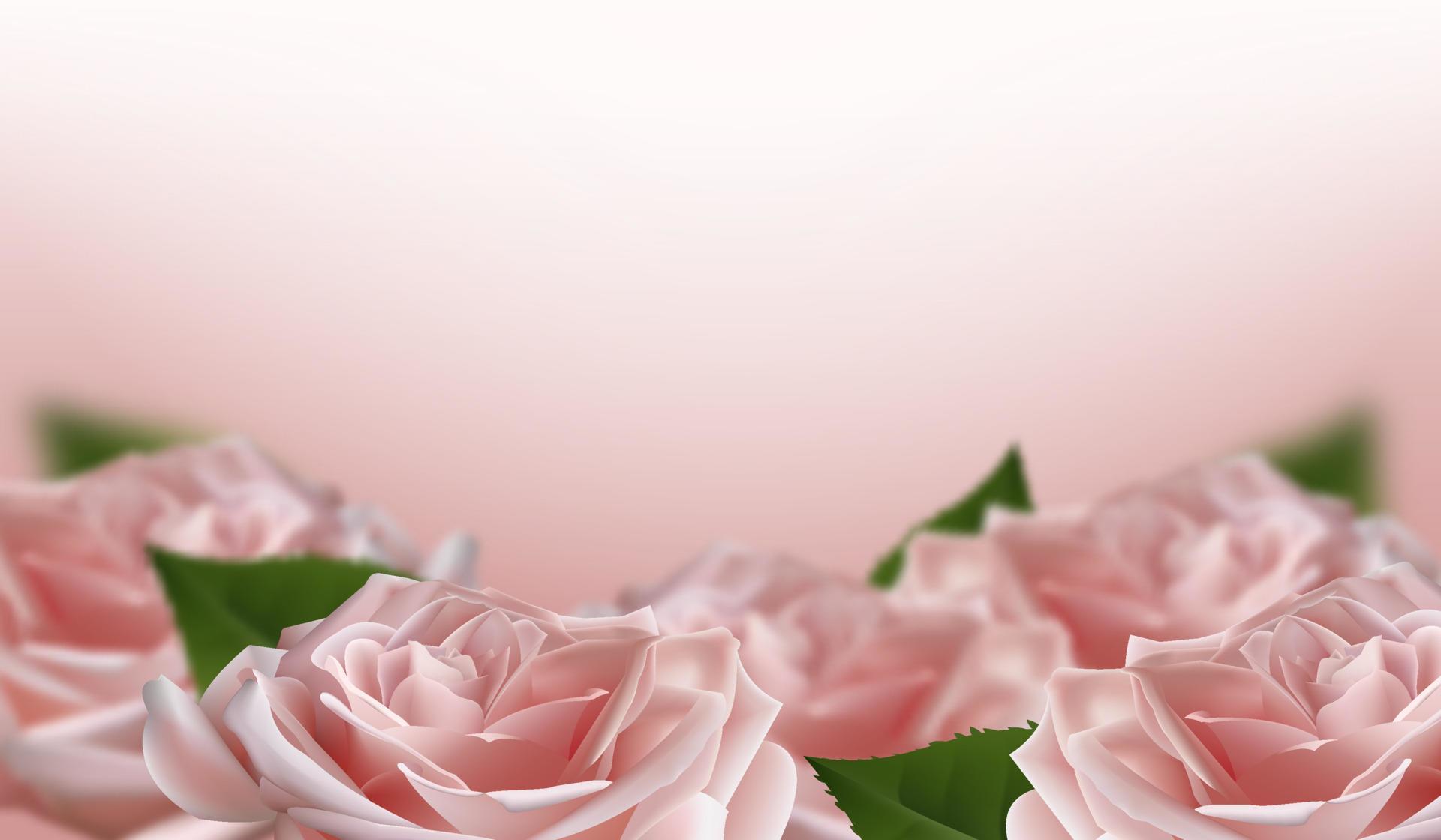 Realistic pink 3d rose flowers on white background. Vector illustration Stock Free