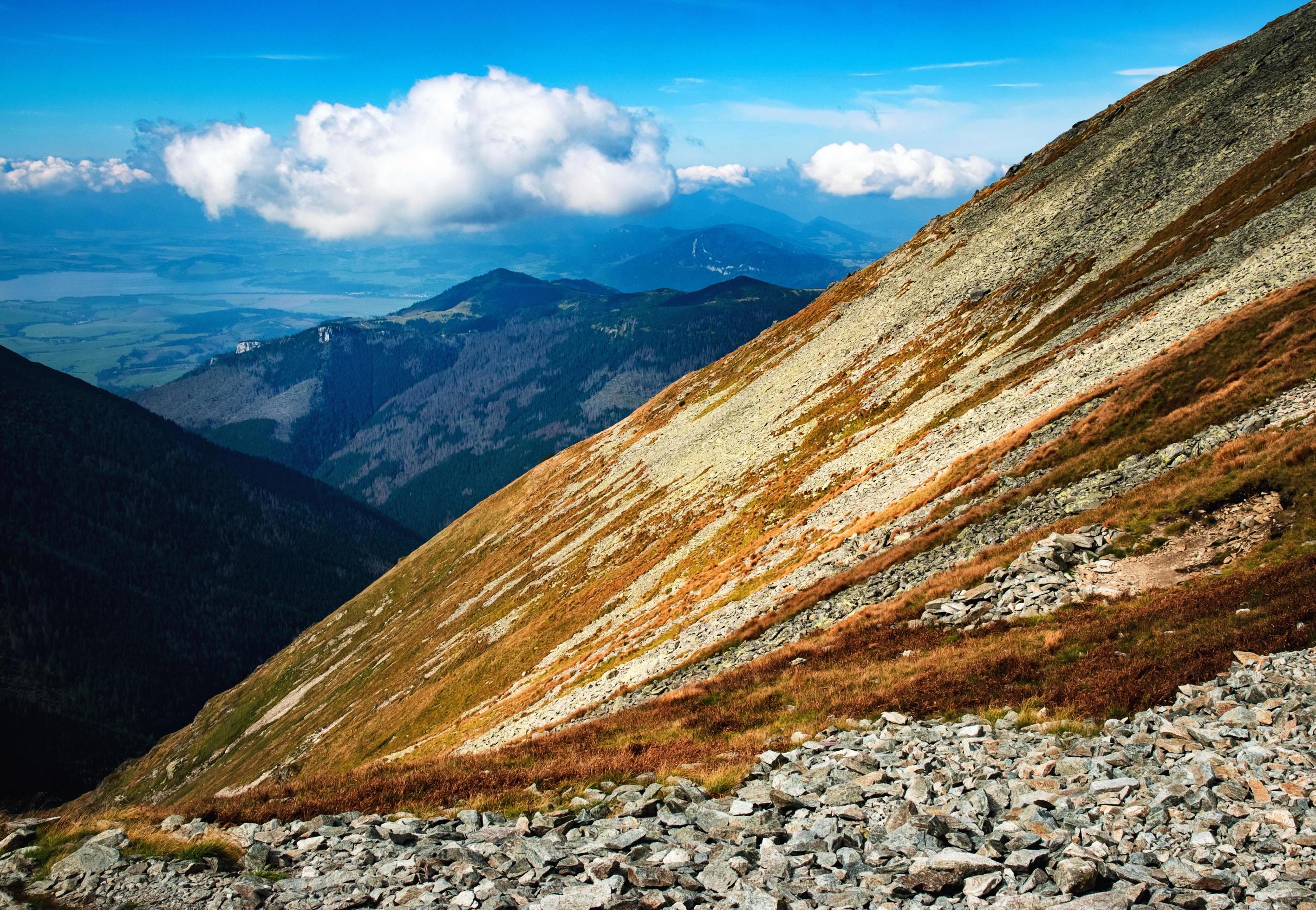 Brown grass on a mountainside Stock Free