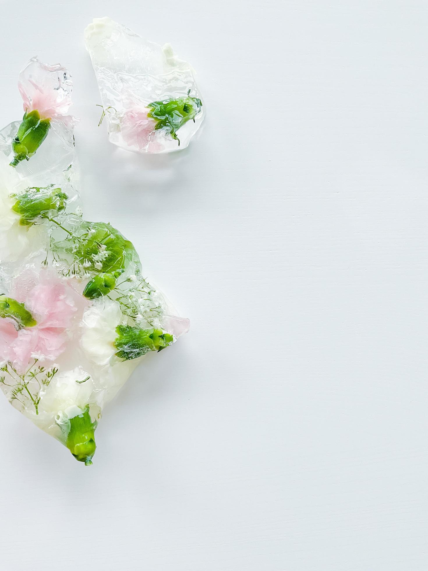 Ice cubes with flowers inside on white background Stock Free