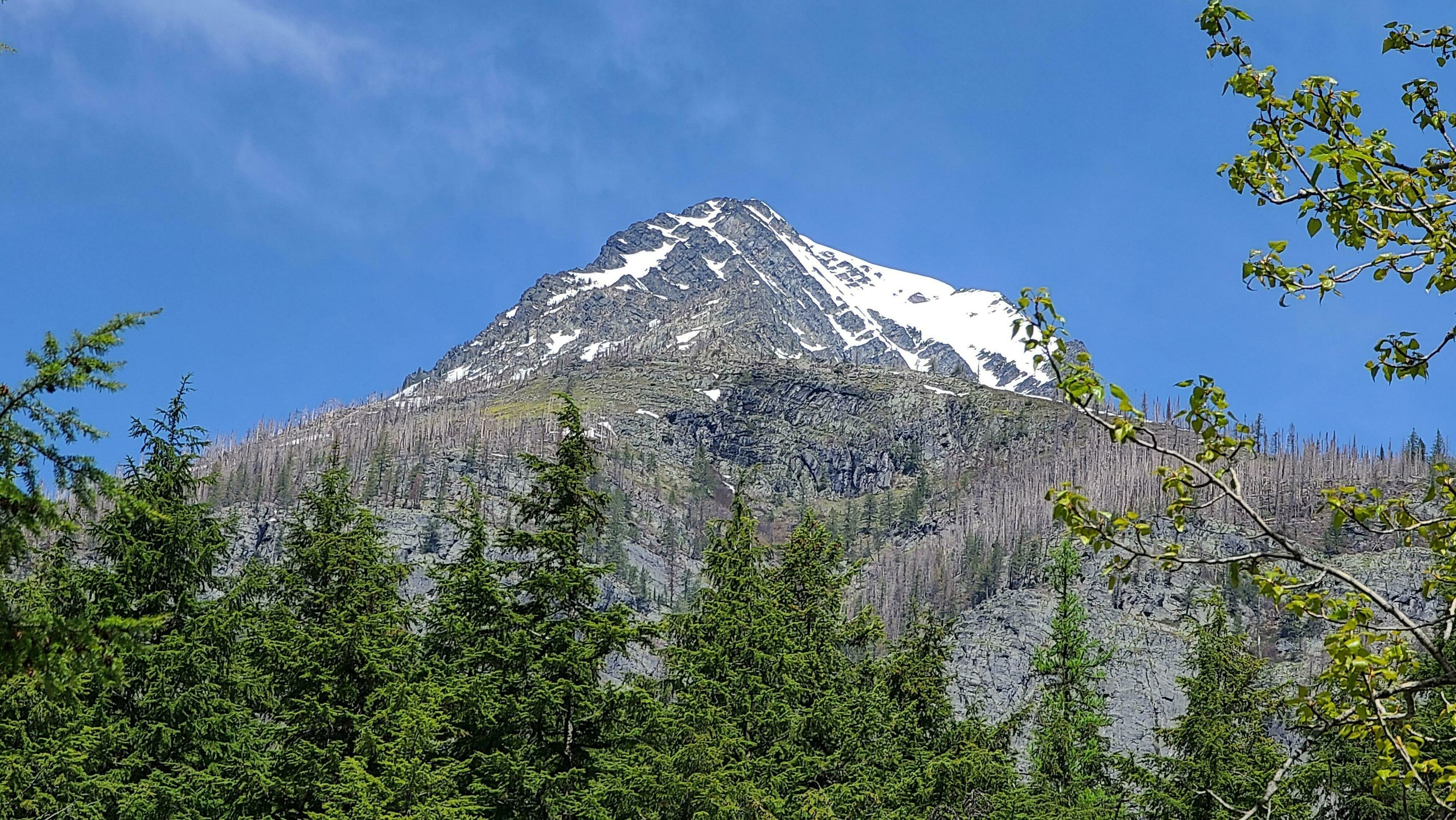 Snow Capped Mountain of Montana Stock Free