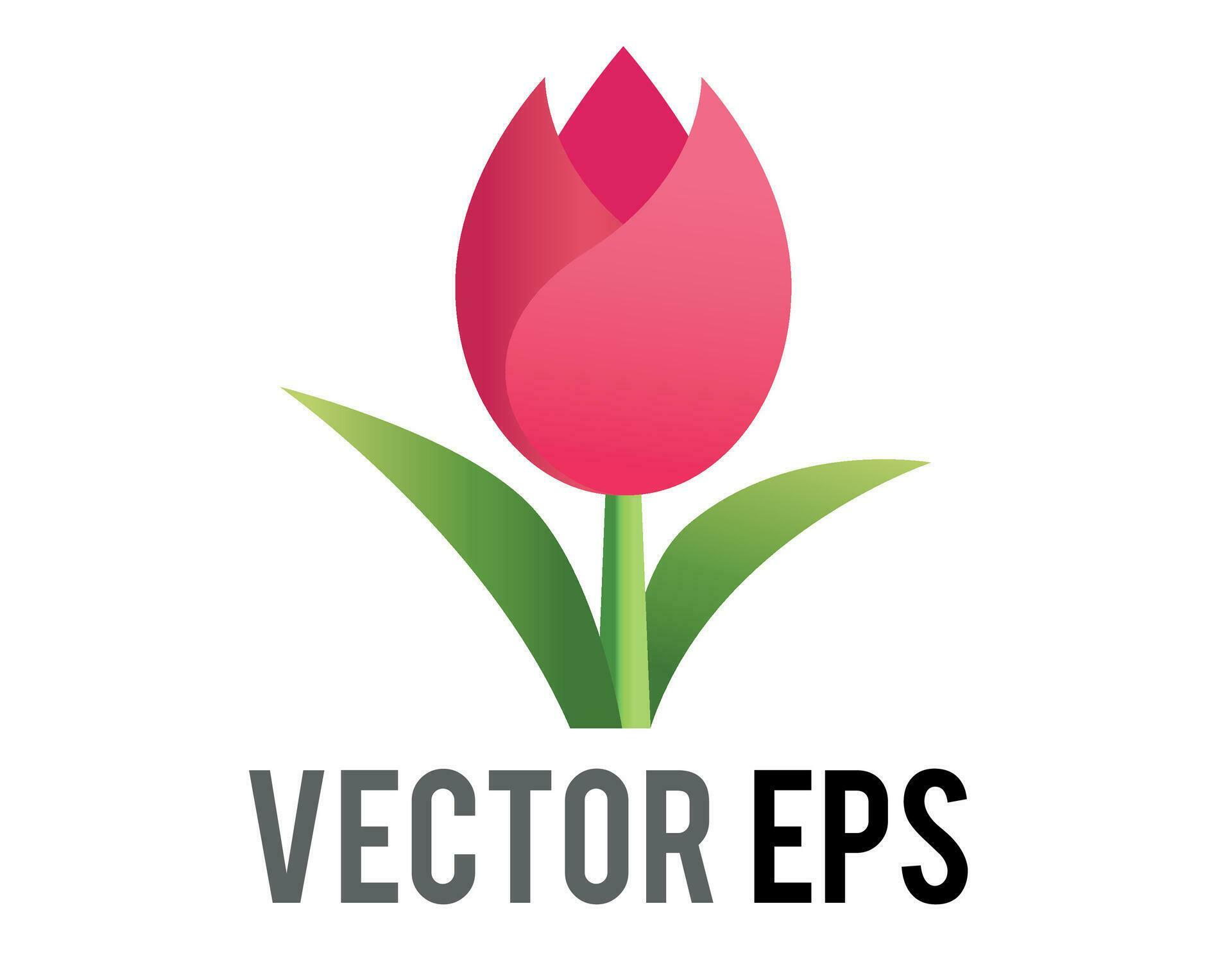 Vector pink tulip flower icon with green stem and leaves Stock Free and Free SVG