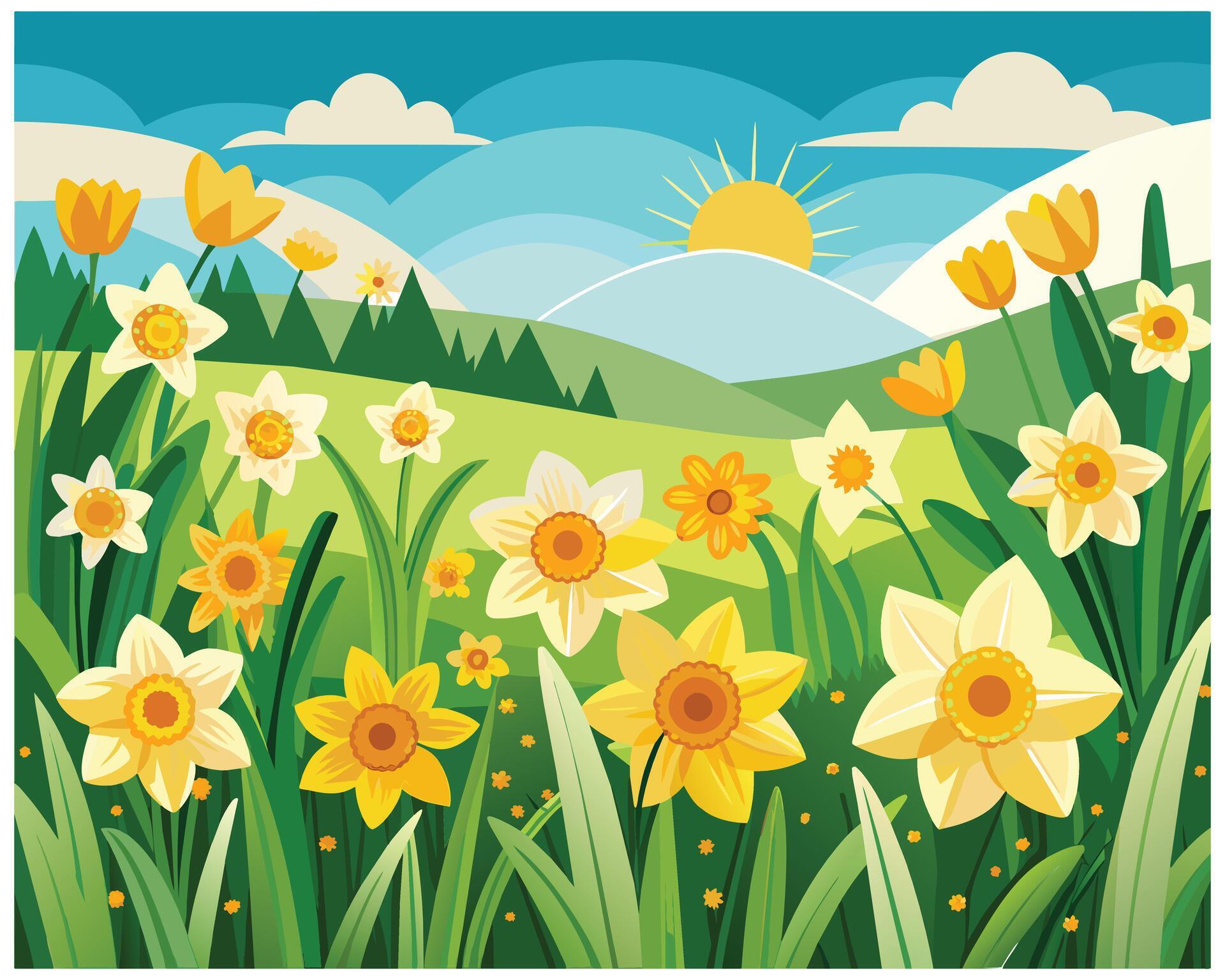 Daffodil flowers spring vector illustration on white background Stock Free