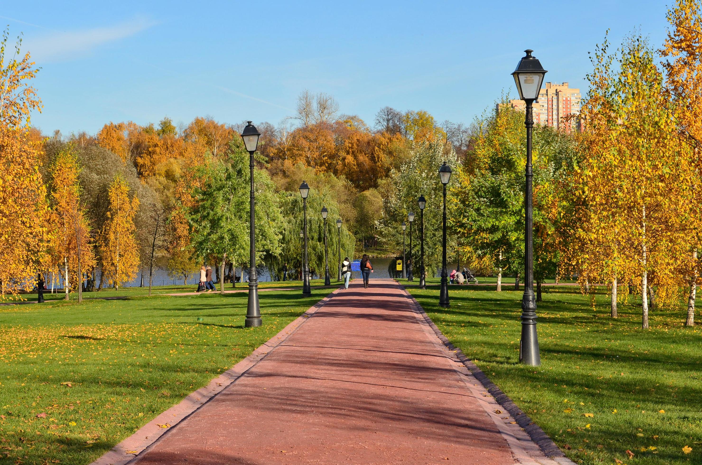 Scenic autumn landscape. Beautiful nature background. Stock Free