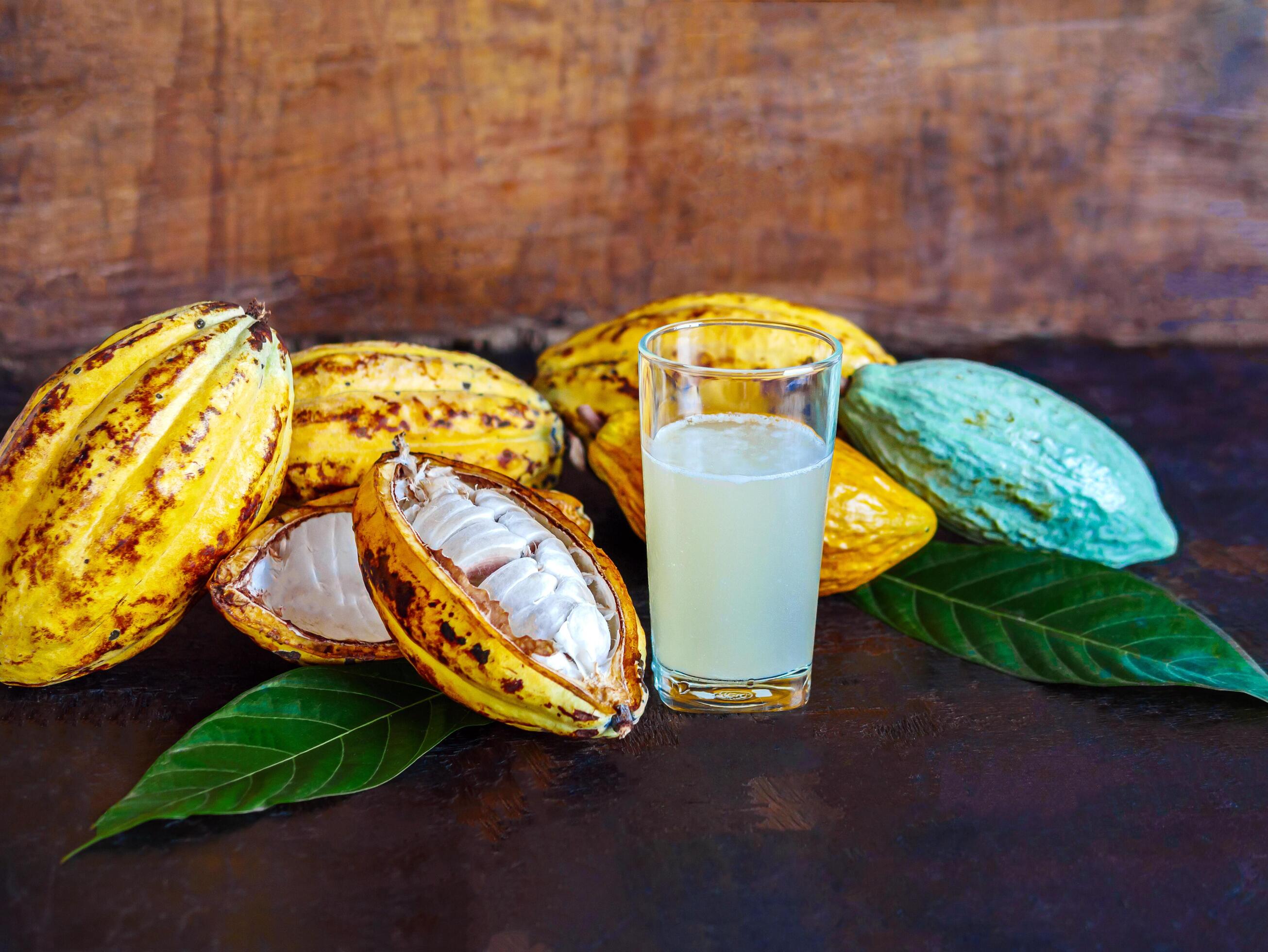 Fresh cacao water in glass and half sliced ripe yellow cacao pod with white cocoa seed, Cacao juice in glass on vintage wooden background Stock Free