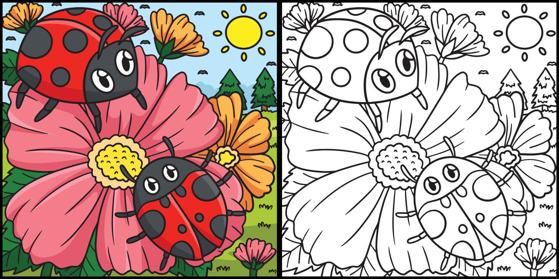 Spring Ladybugs On Flower Coloring Illustration Stock Free