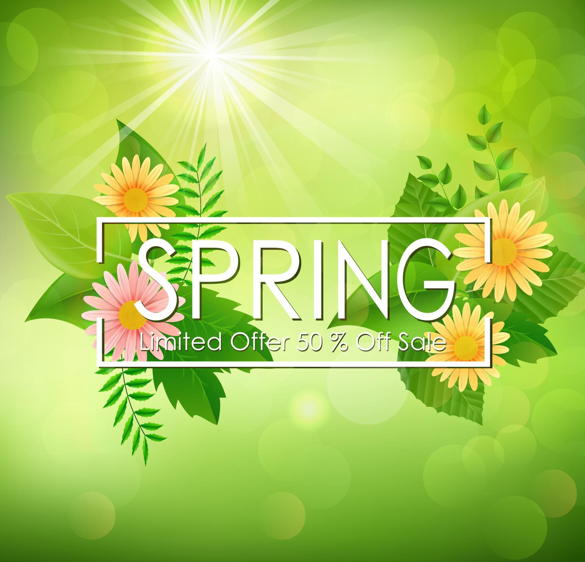 Spring sale background banner with beautiful colorful flower and green leaves Stock Free