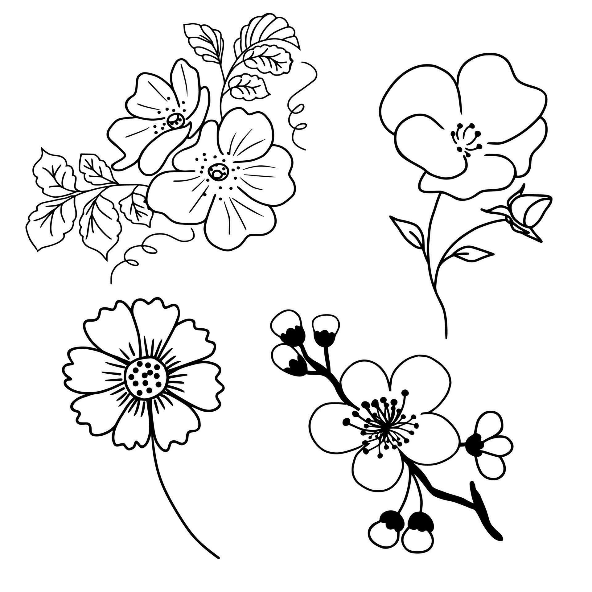 Hand Drawn Flowers Line Art Ornament Set Collection Stock Free and Free SVG