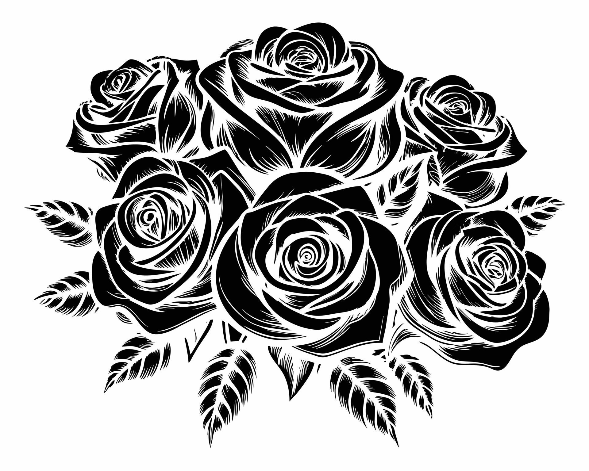 Beautiful Roses Flower Vector Design On White Background illustration Free Vector