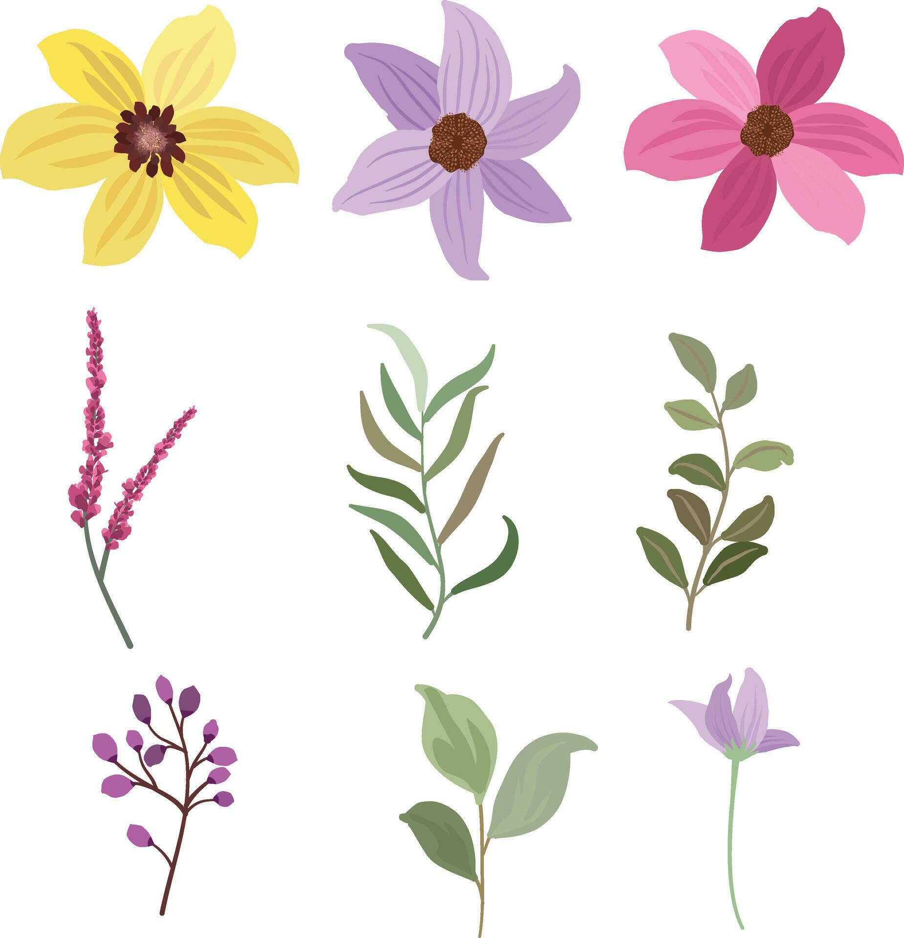 set of floral and leaf elements, herb plant, wildflower plant collection Stock Free