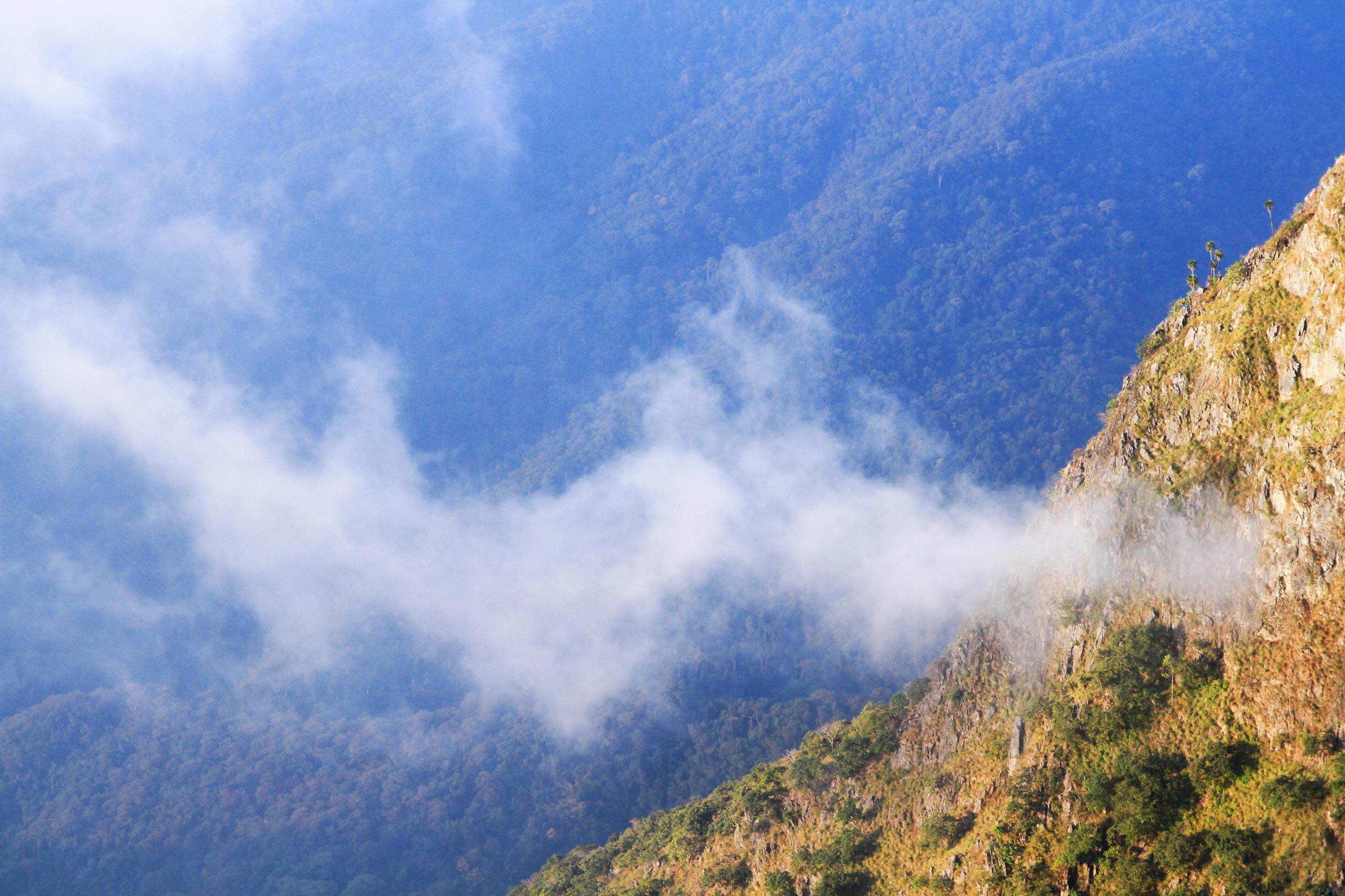 Sunrise in morning with sky and cloud on the Limestone mountain. Sunray with Fog and mist cover the jungle hill in Thailand Stock Free