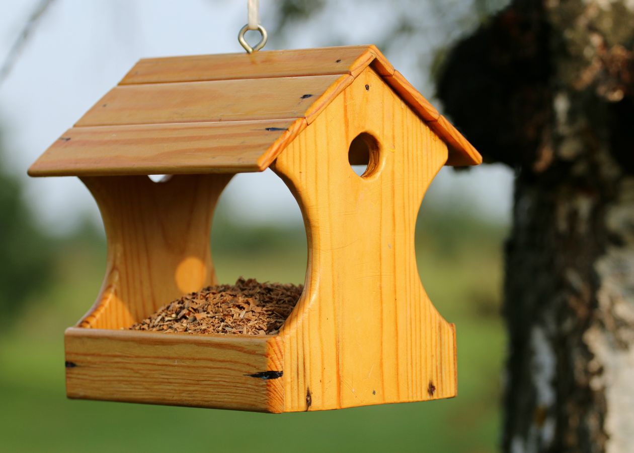 Birdhouse Stock Free