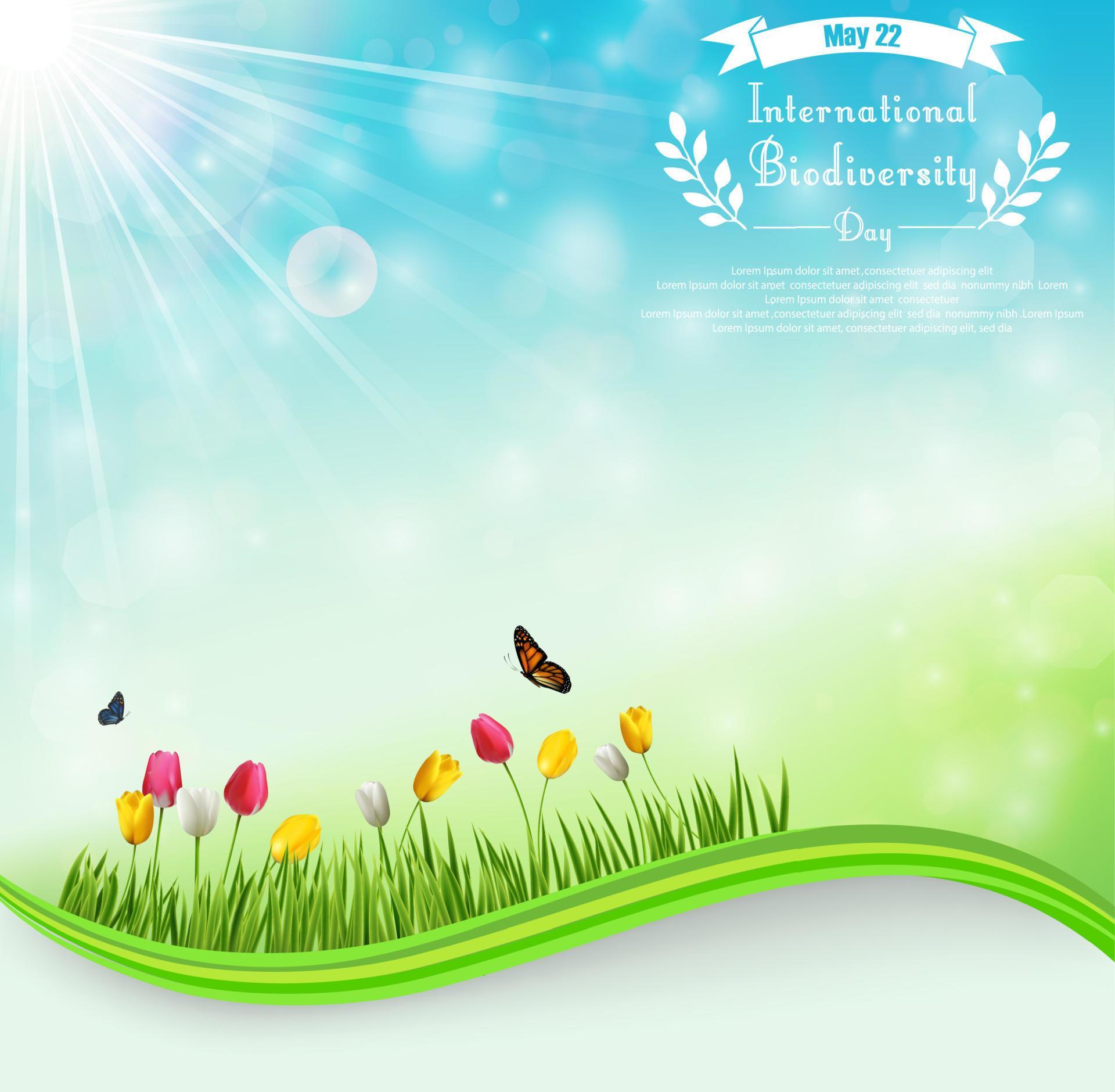 Biodiversity meadow background with tulip flowers and butterflies Stock Free