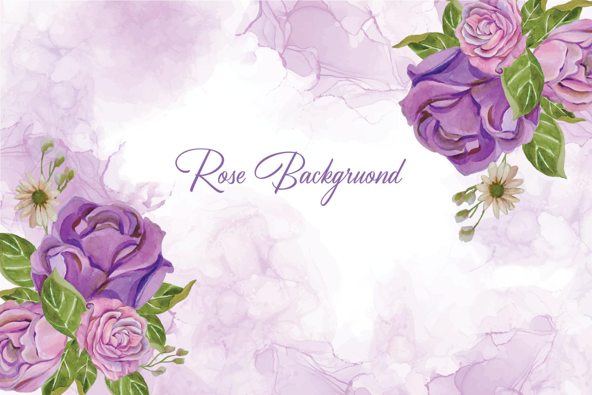 watercolor rose flower background frame Stock Free