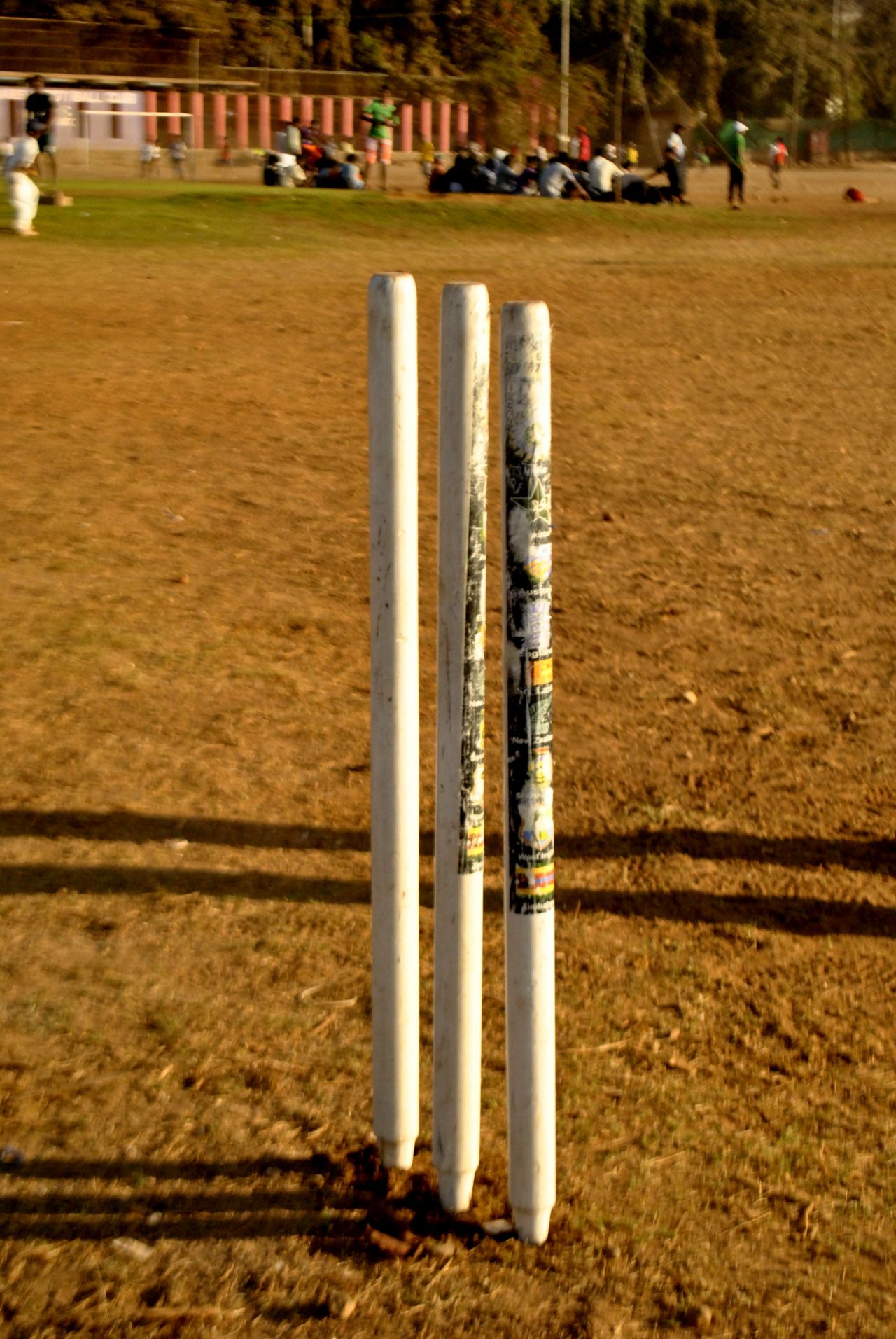 Cricket Pitch Stumps Stock Free