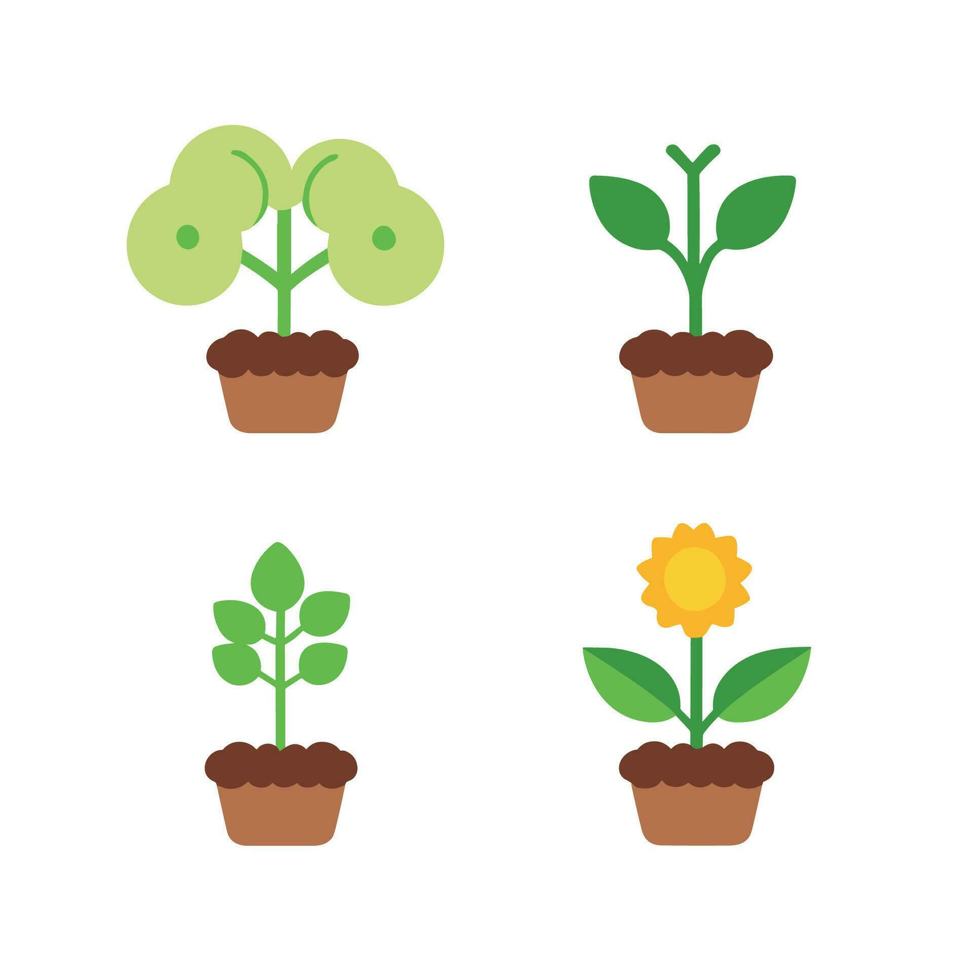 Flowers and plants seedling process flat icons set isolated vector illustration. Stock Free