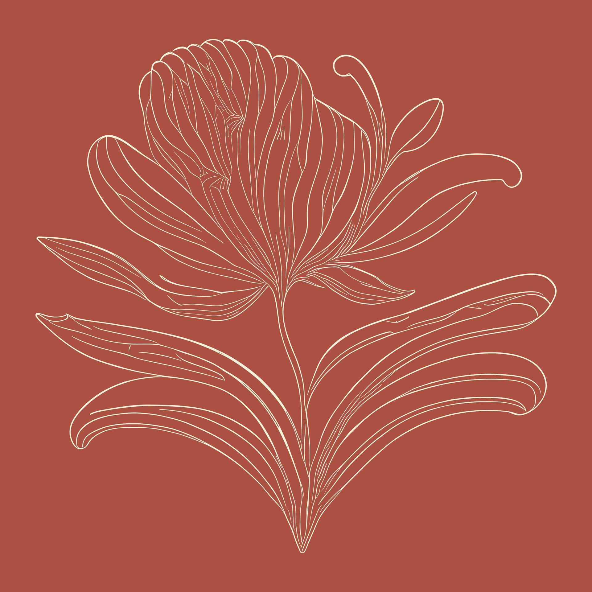 Hand drawn vector doodle peony flower isolated on red background Stock Free