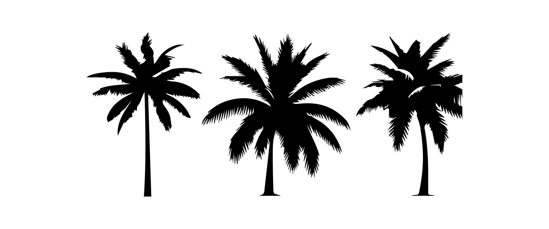 Black palm trees set isolated on white background. Palm silhouettes. Design of palm trees for posters, banners and promotional items. illustration Free Vector