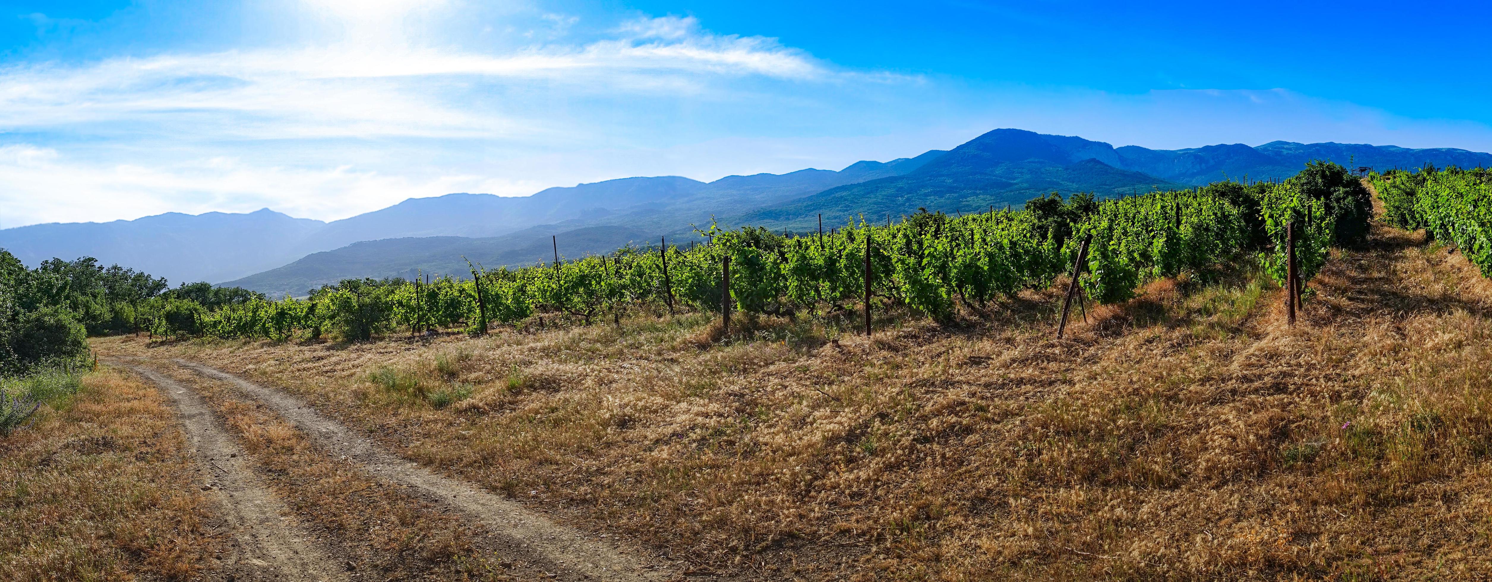 panorama of the natural landscape with the road. Stock Free