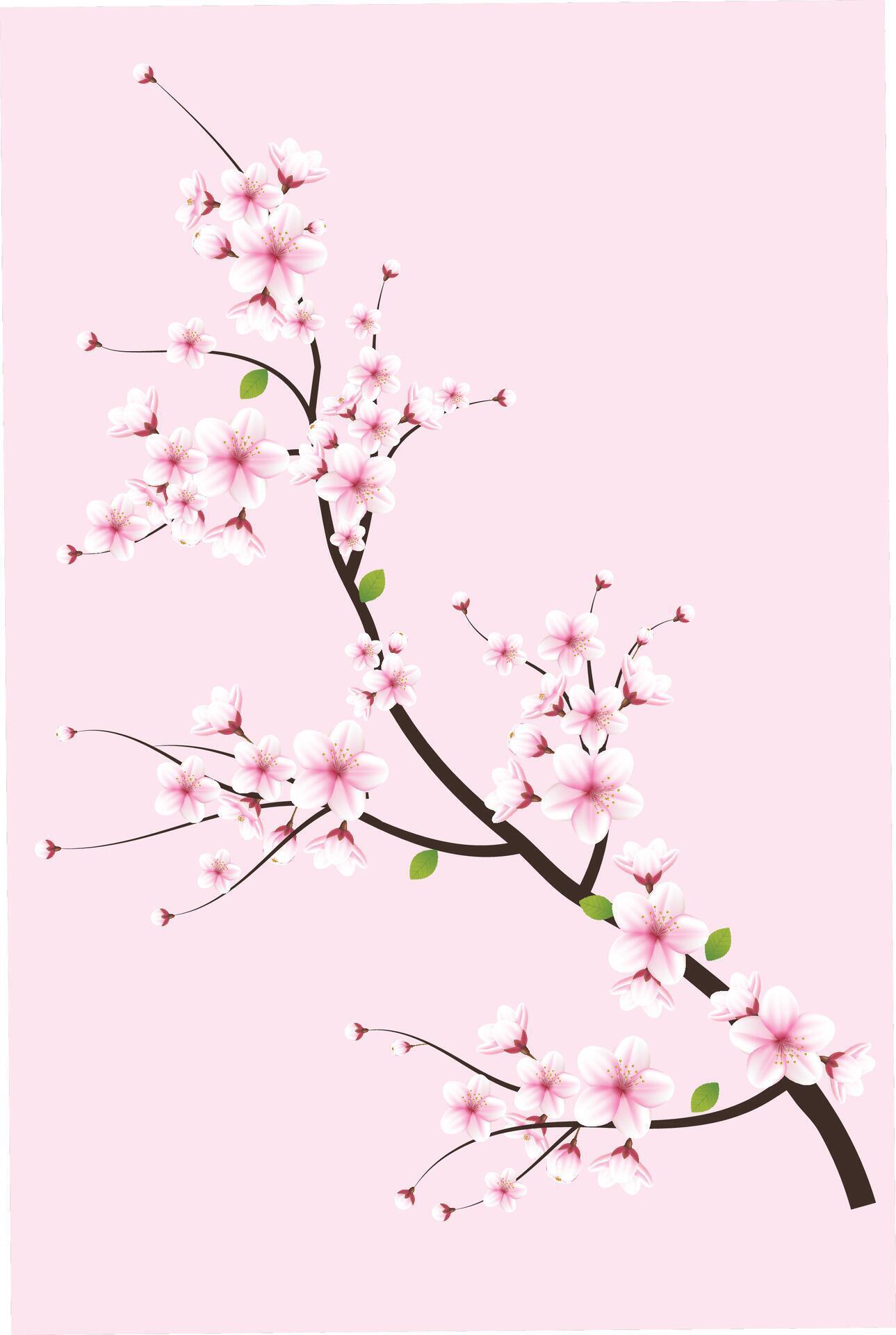 generated ai Sakura flower illustration Stock Free