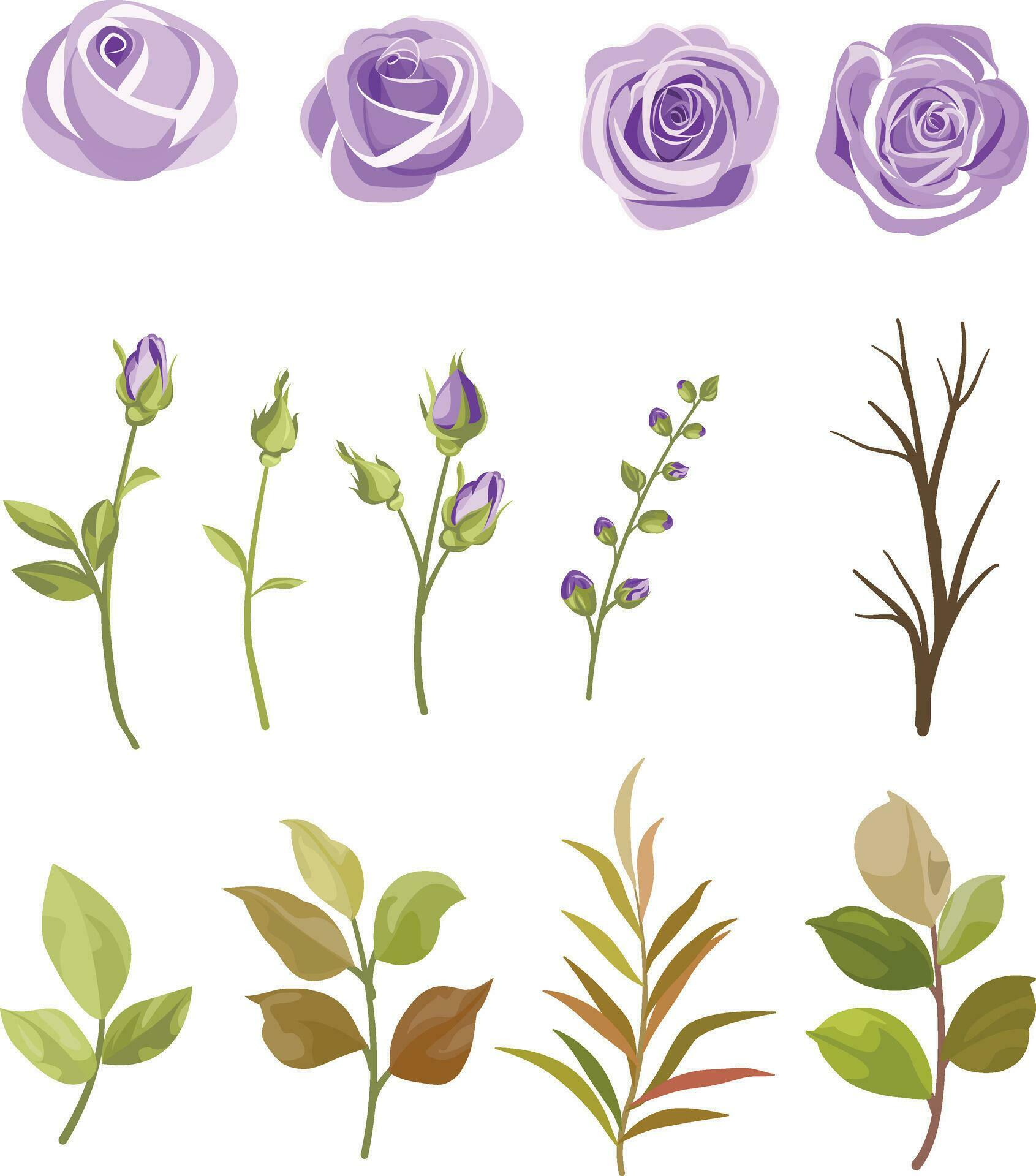 set of floral and leaf elements Stock Free