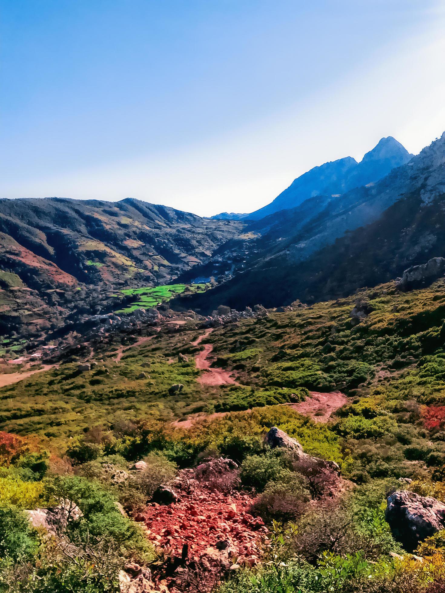 Nature at the top of the mountain Stock Free