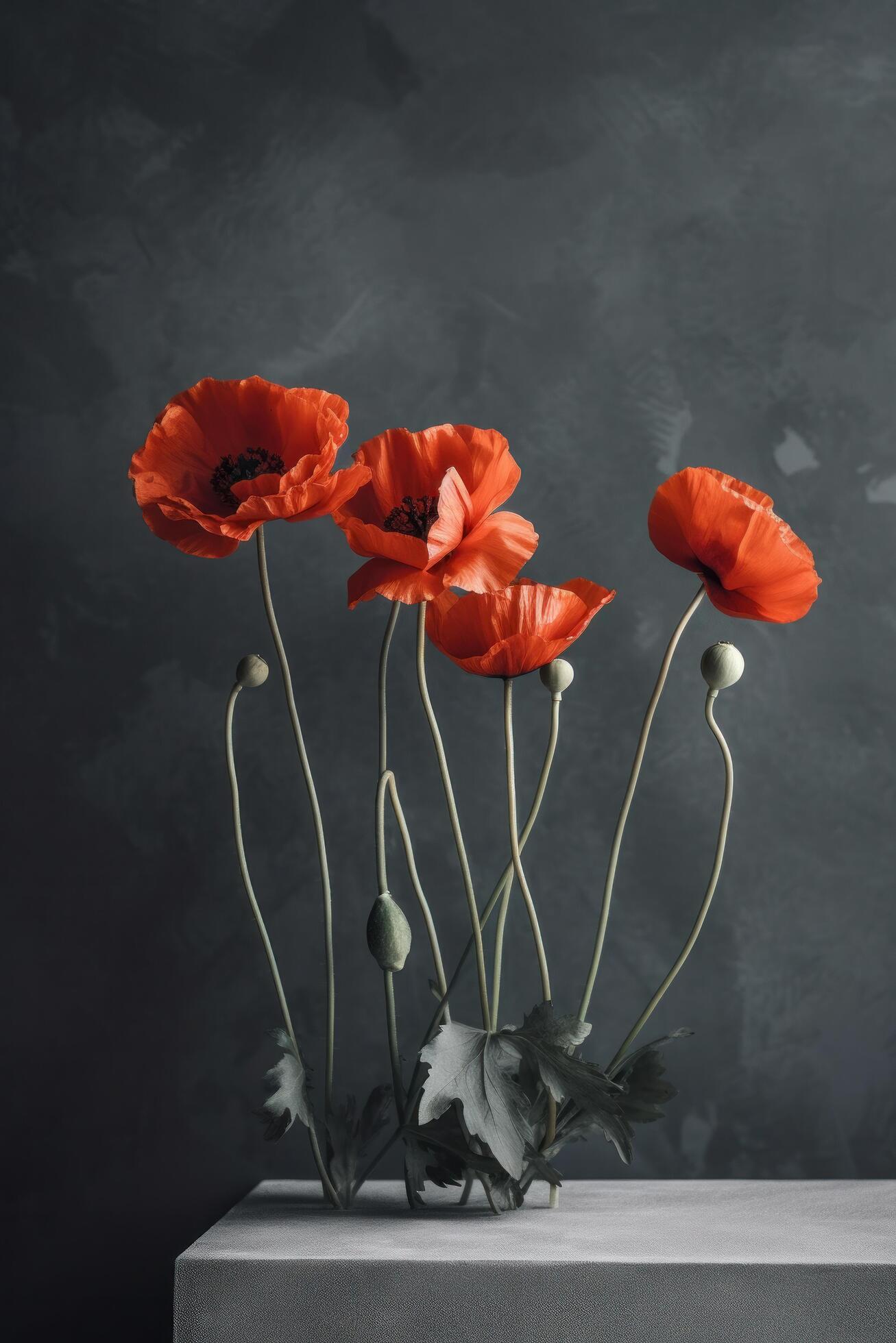 Poppy flower background. Illustration Stock Free