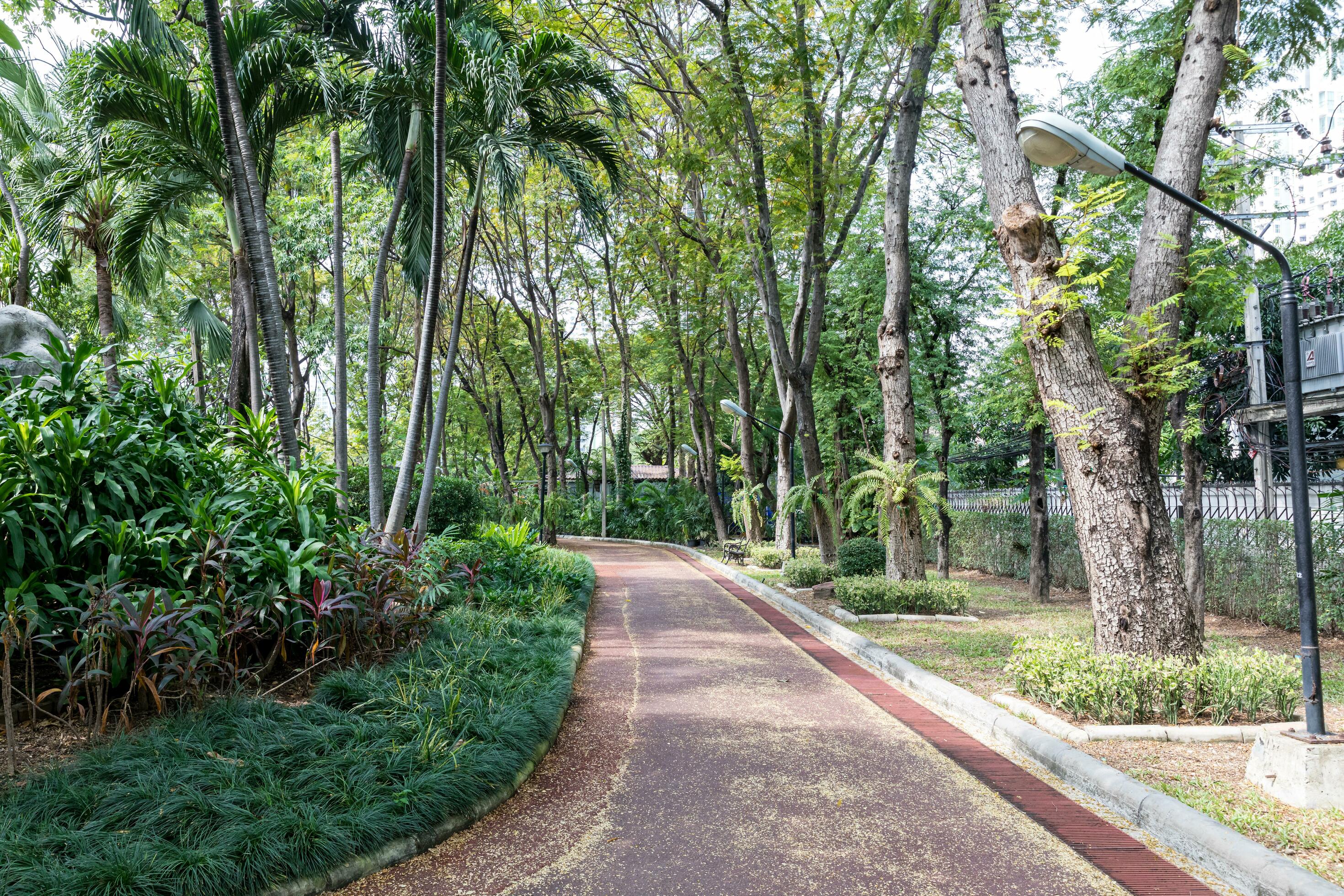 Walkway in a natural park with good weather Stock Free