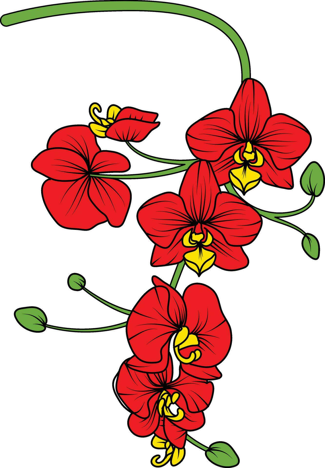 Red orchid branch vector flower, illustration of beautiful red orchid flower Stock Free