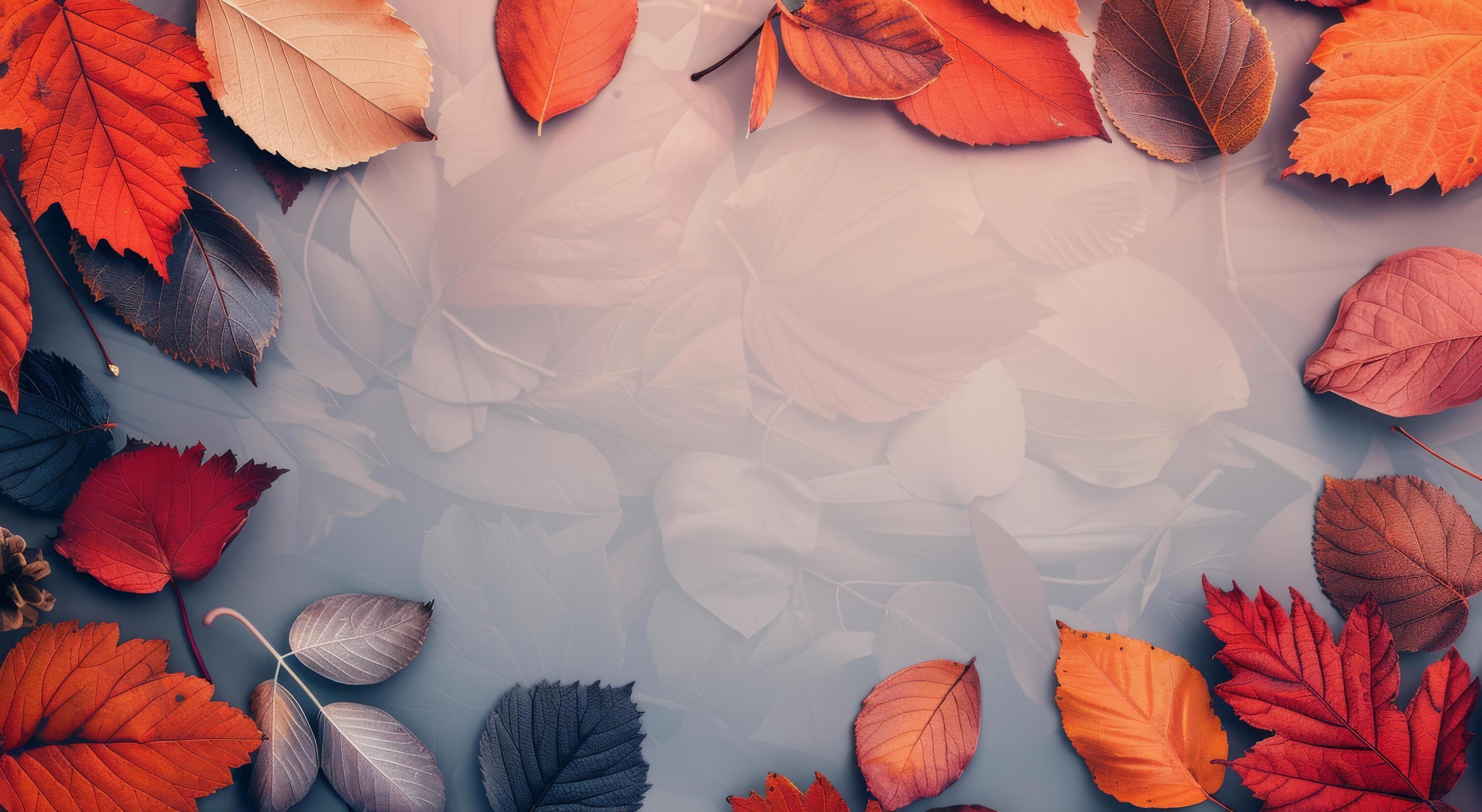 Autumn Leaves Border on Pink Background Stock Free