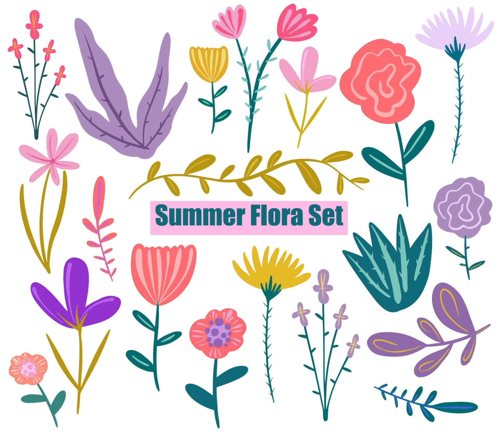 Vector Hand painted summer flora set. Wild flowers. Sketch wildflowers and herbs nature botanical elements. Stock Free